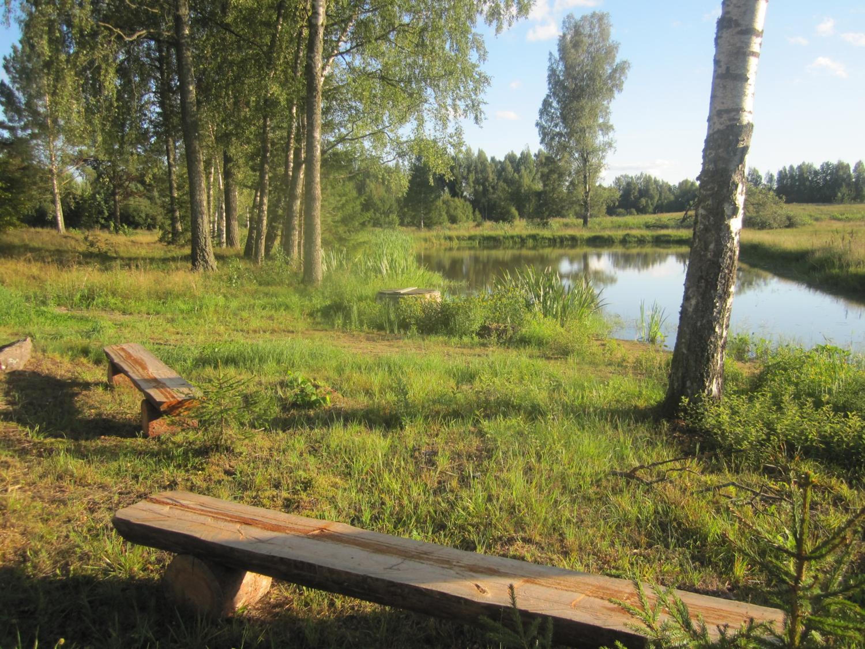 Photo 32