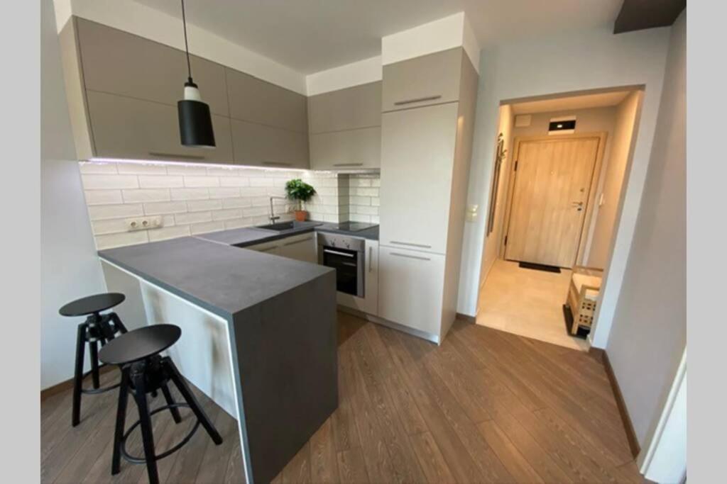 LUX 1BD/1BA City Center Apartment
