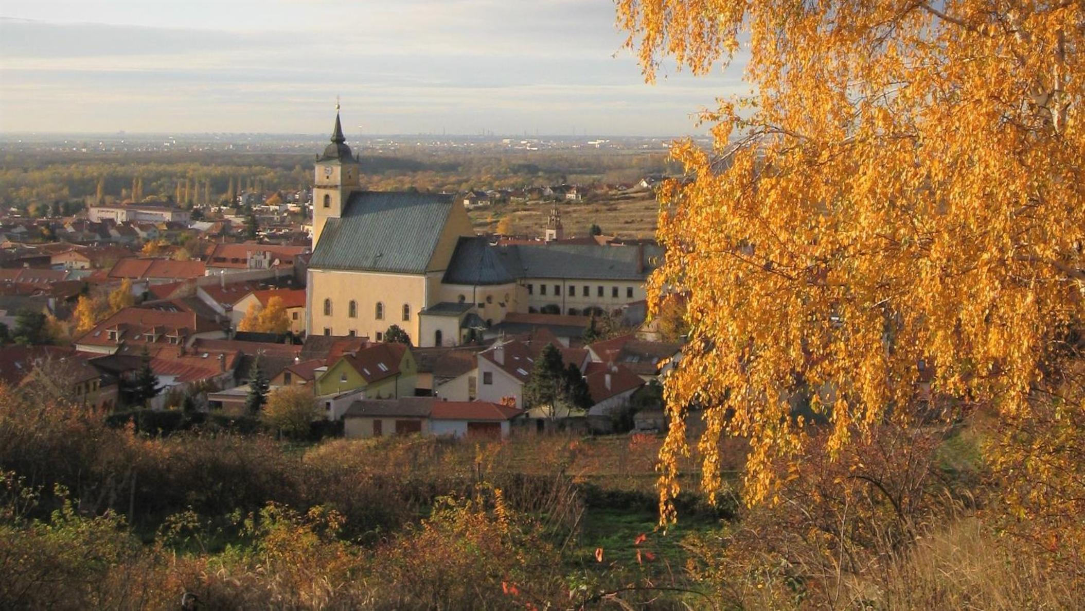Photo 32