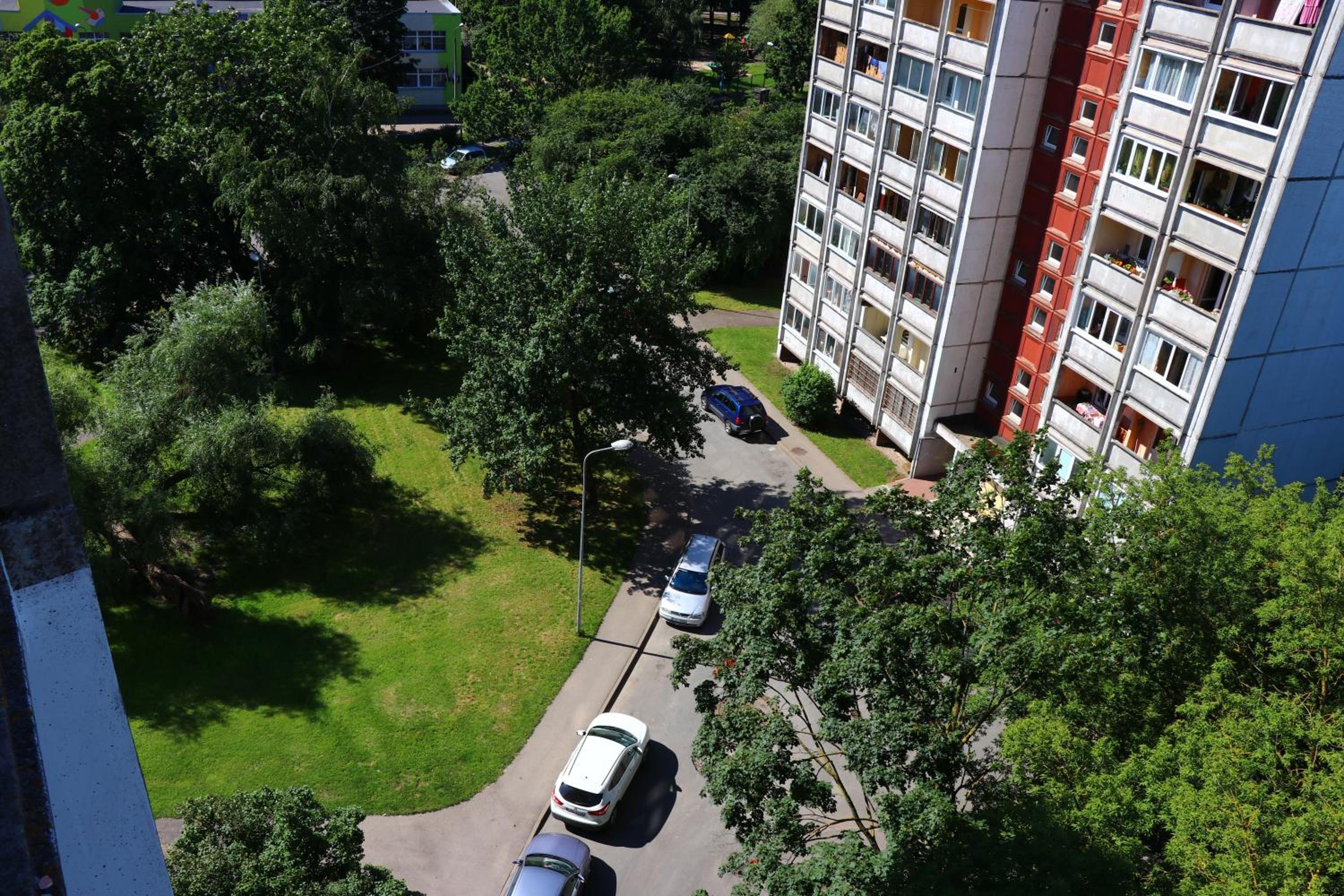 Photo 49