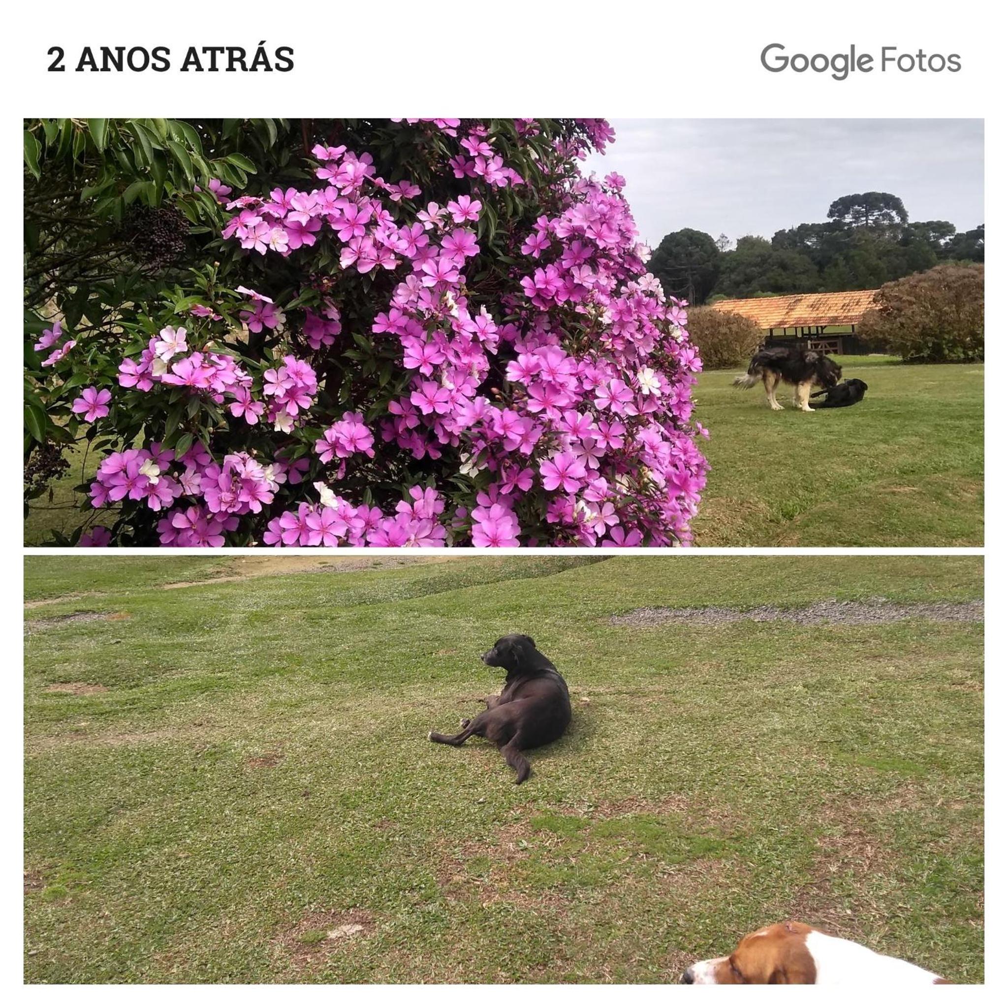 CHÁCARA QUEDINHA D'ÁGUA