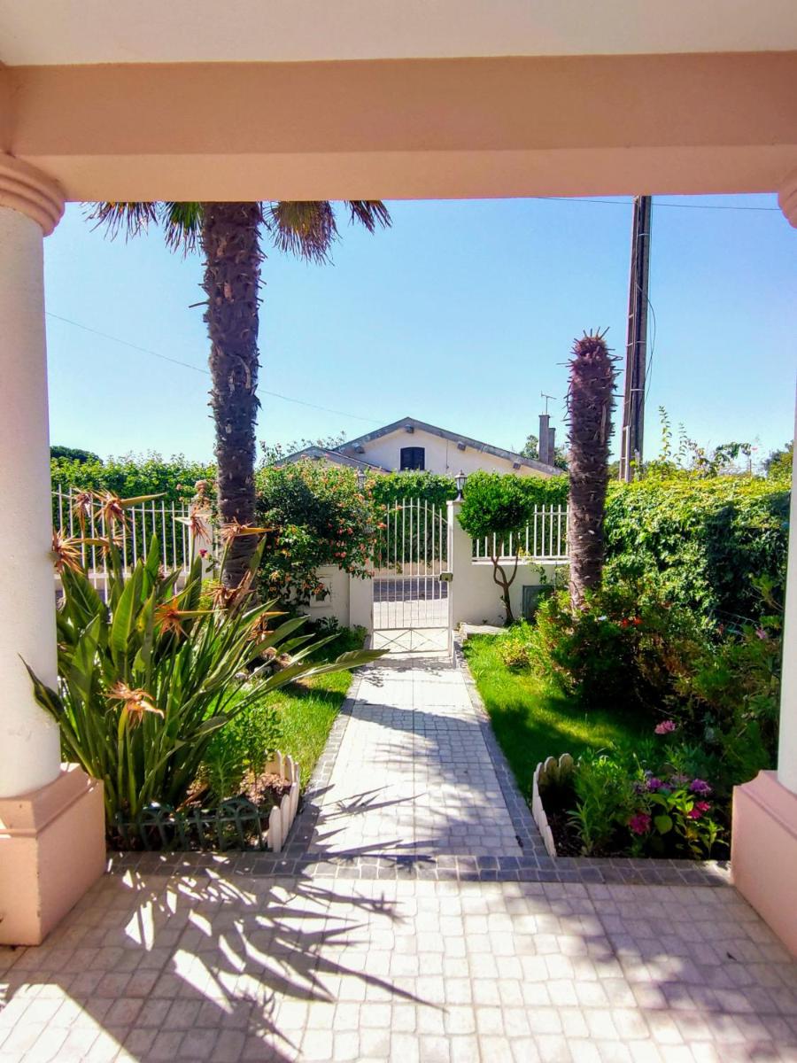 Villa Shardana B&B — photo 4