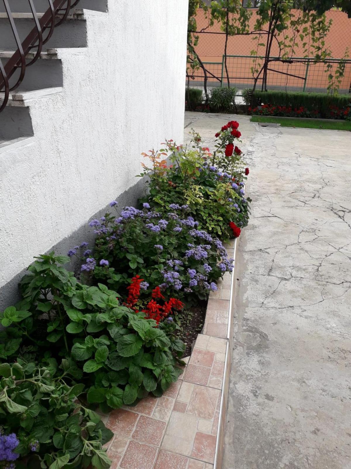 Photo 28