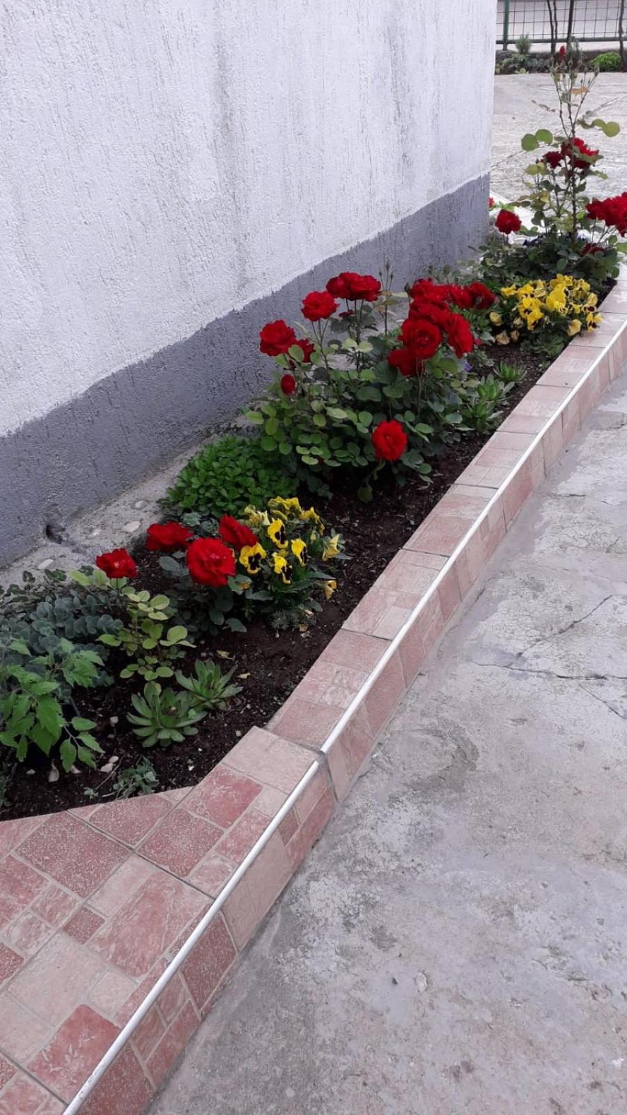 Photo 27