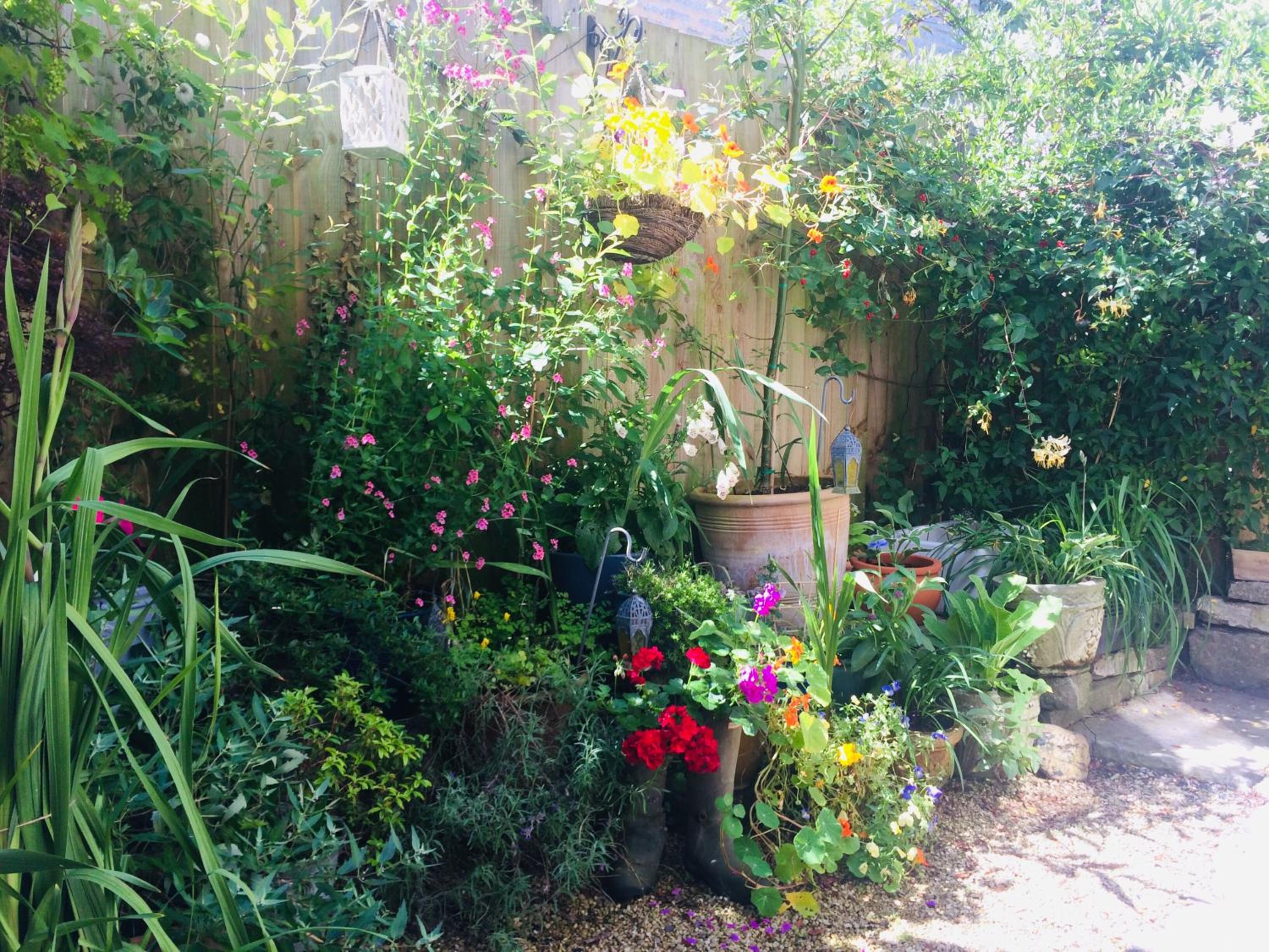 Glastonbury Vacations - The Old General Store At The Laurels - Property Image 10
