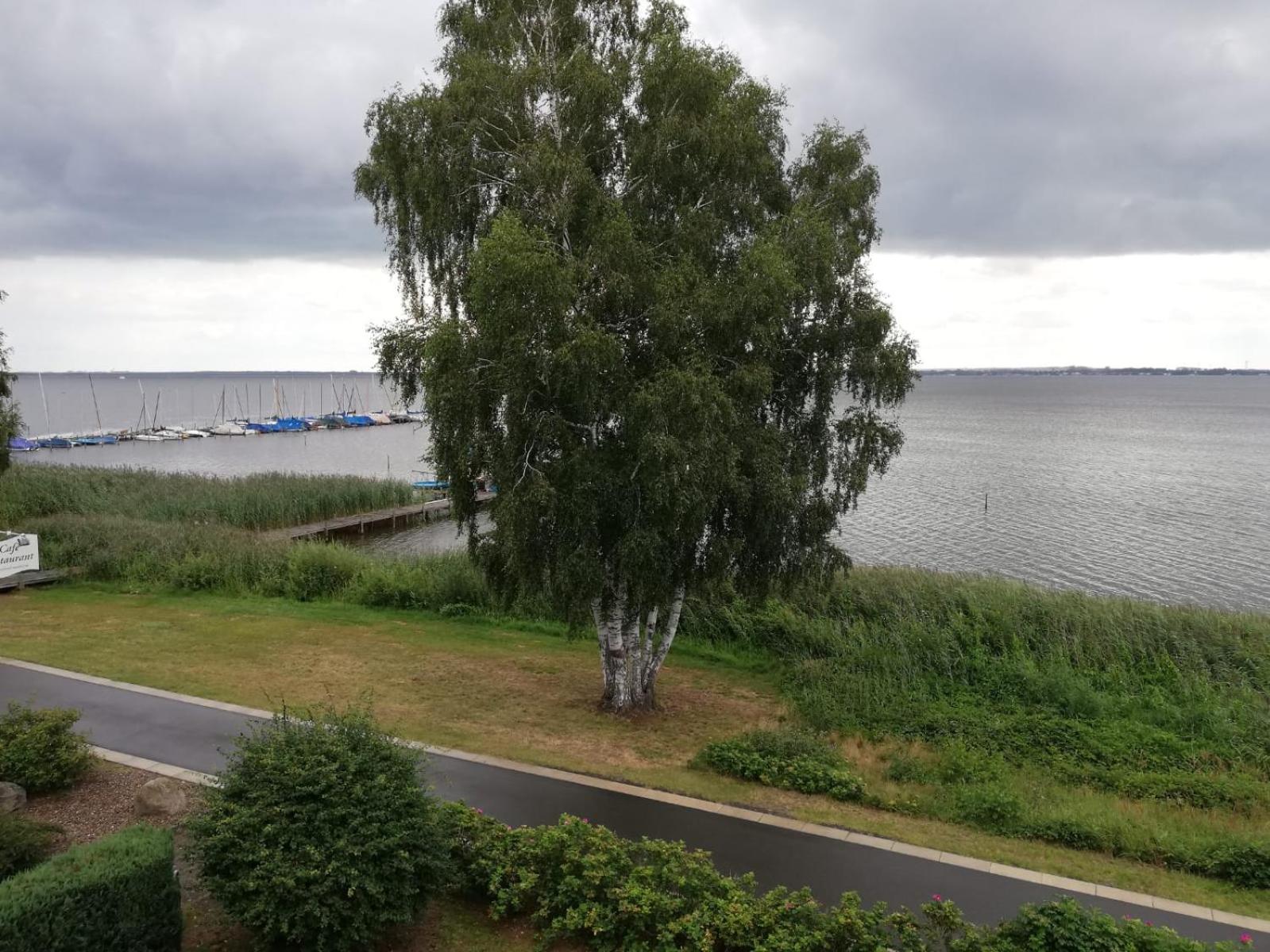 Ferienwohnung direkt am Steinhuder Meer view 5