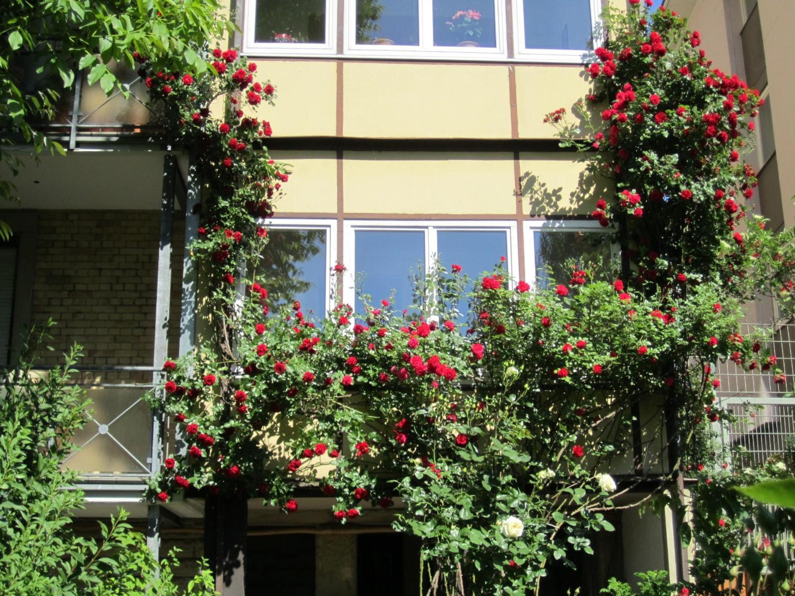 KernerApartement view 4
