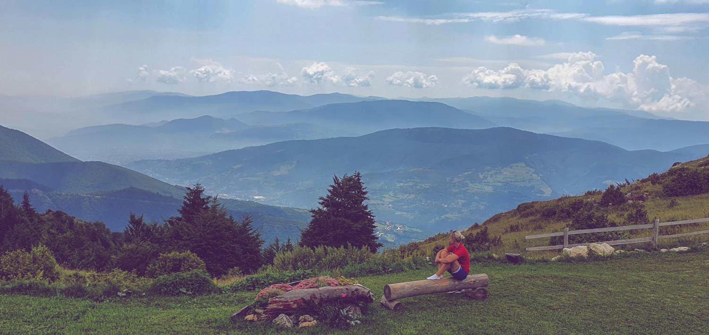 Planinska kuća 