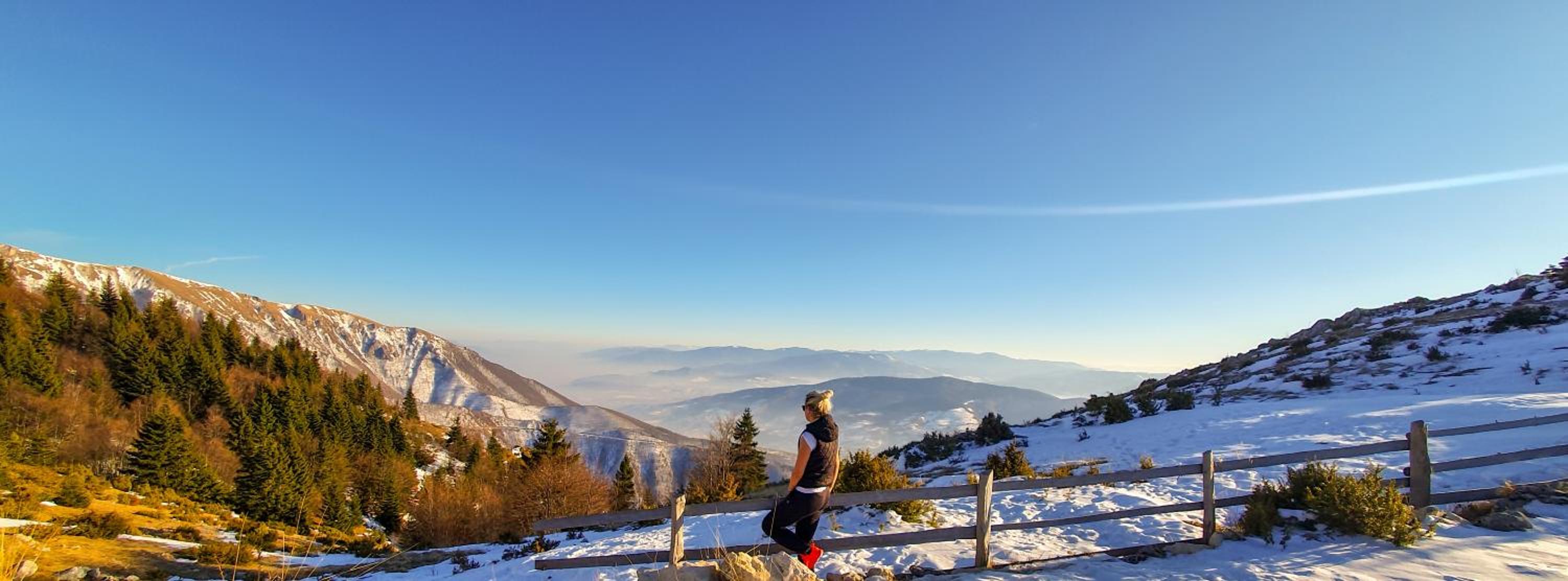 Planinska kuća 