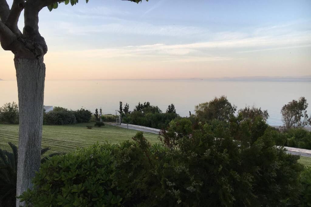 Villa Aegean view 5