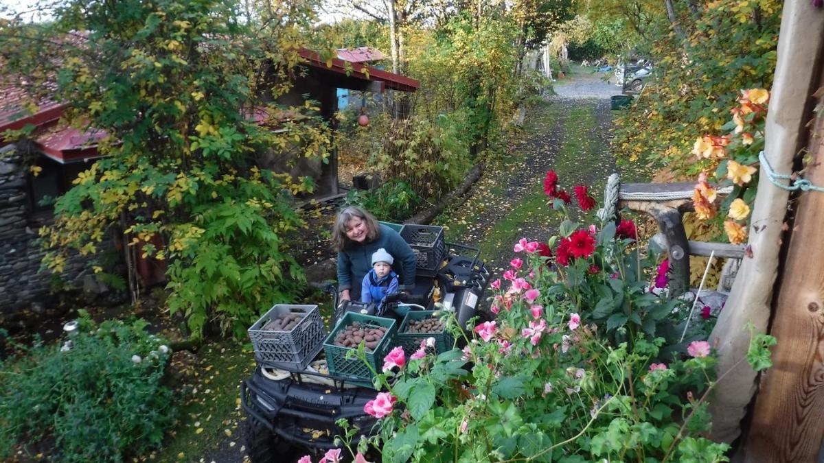 Homer Vacations - Brigitte's Bavarian Bed und Breakfast - Property Image 2