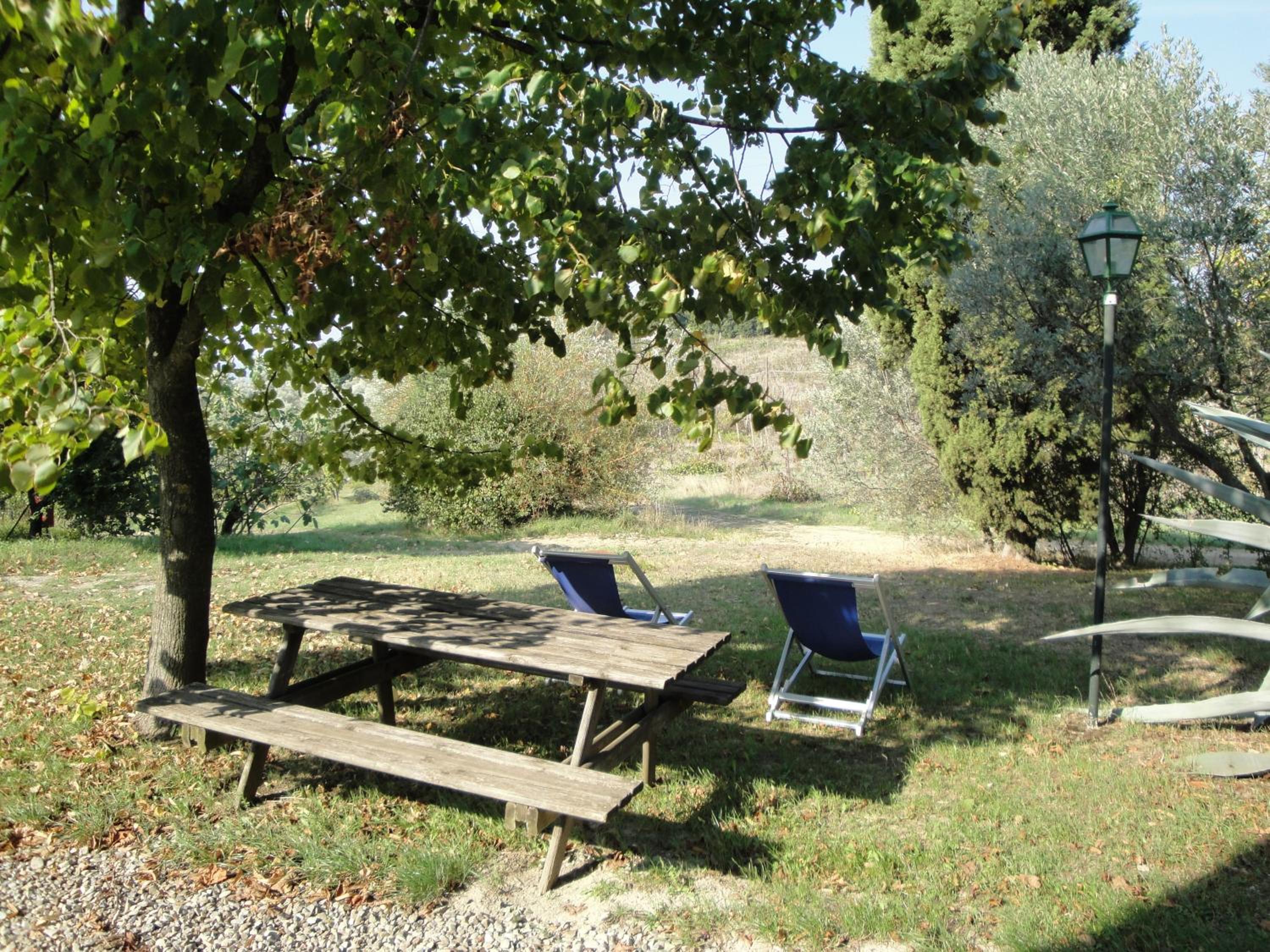 Photo 48