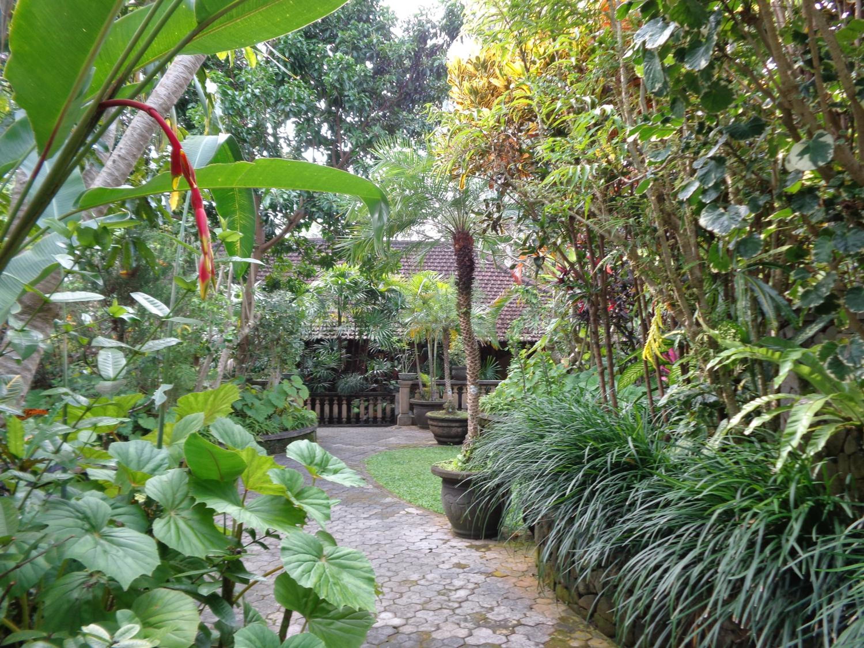 Klub Kokos Bungalows