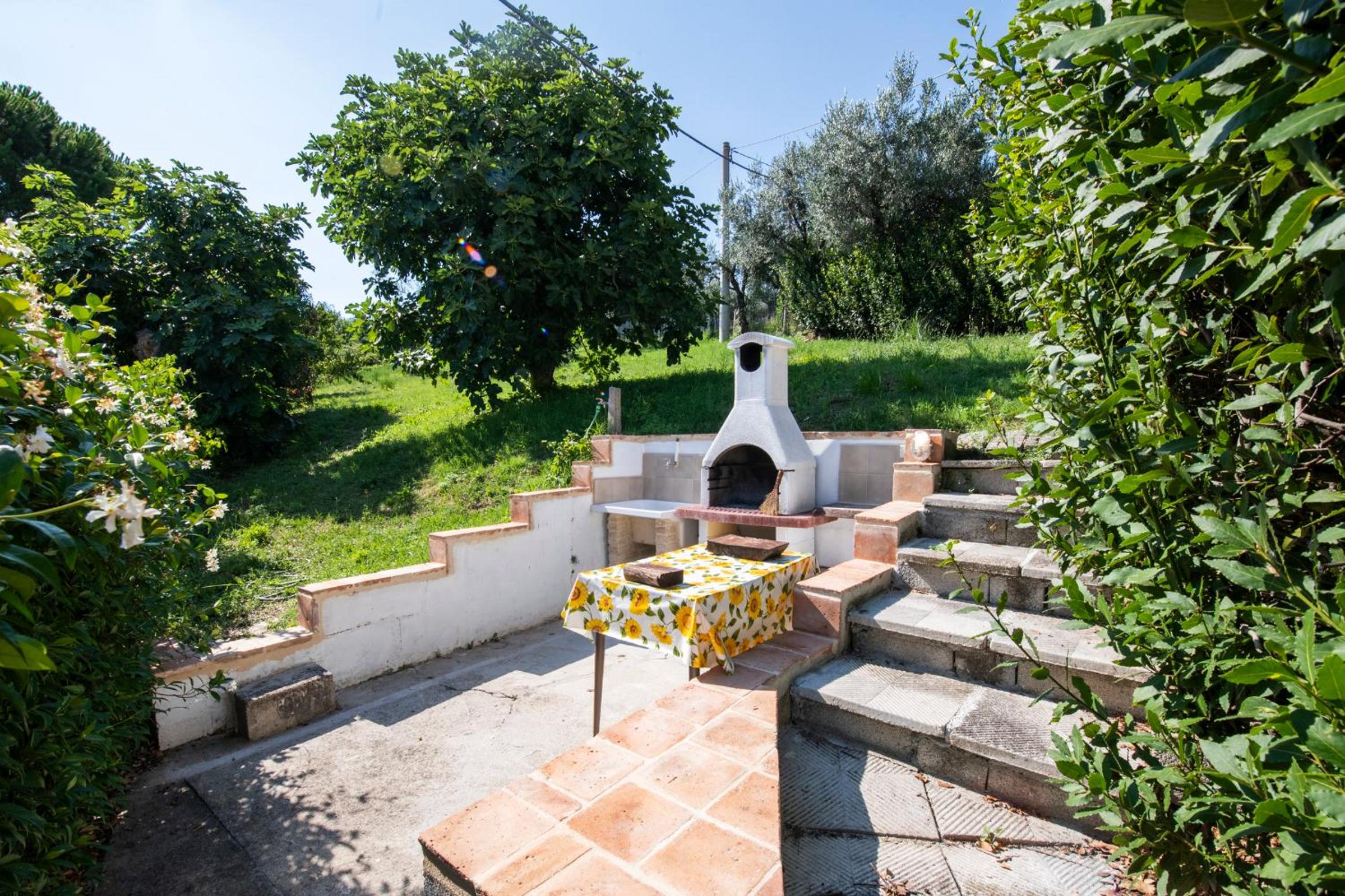 Photo 40