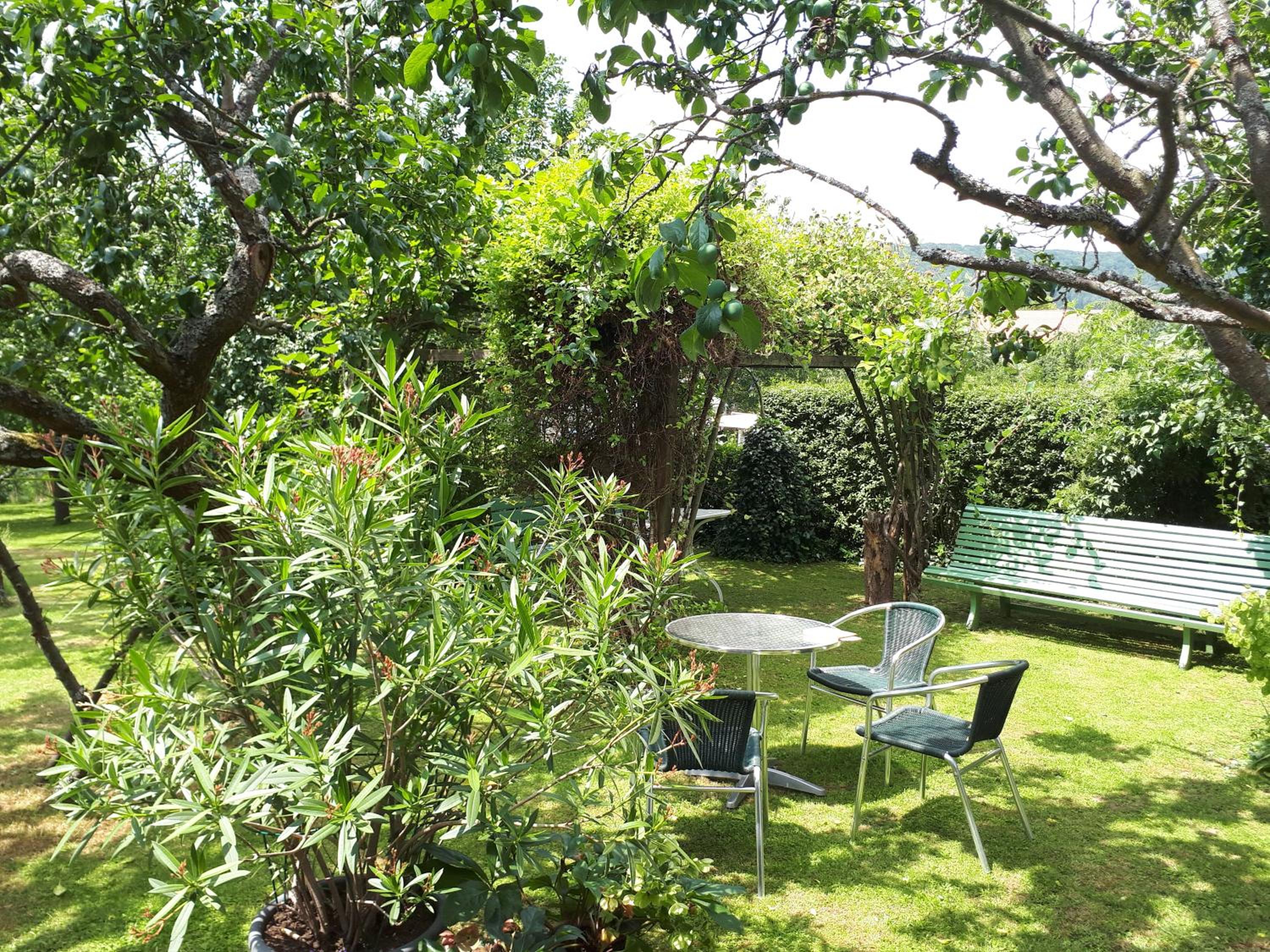 Ferienwohnung am Obstgarten - Property Image 9