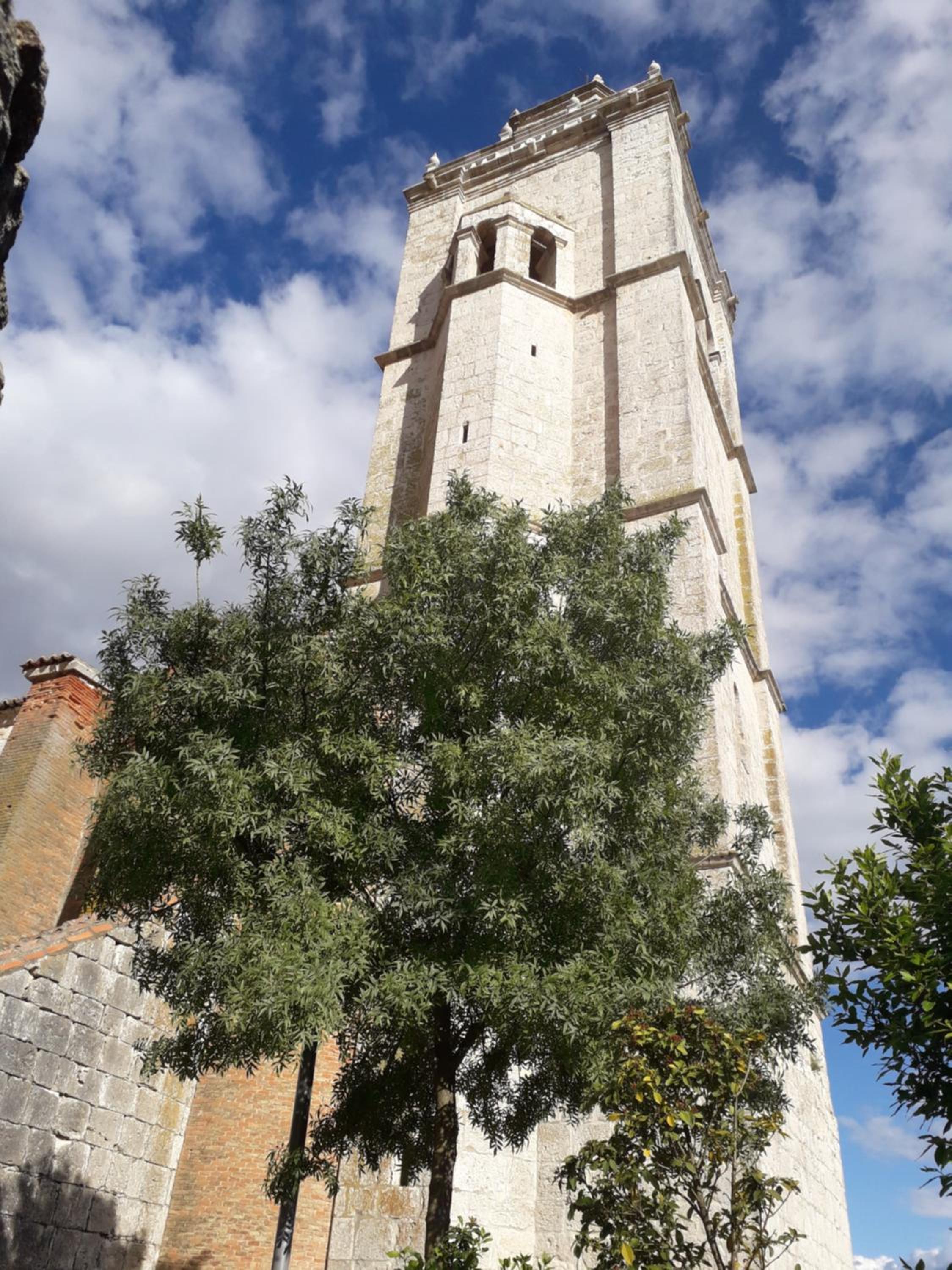 Photo 45