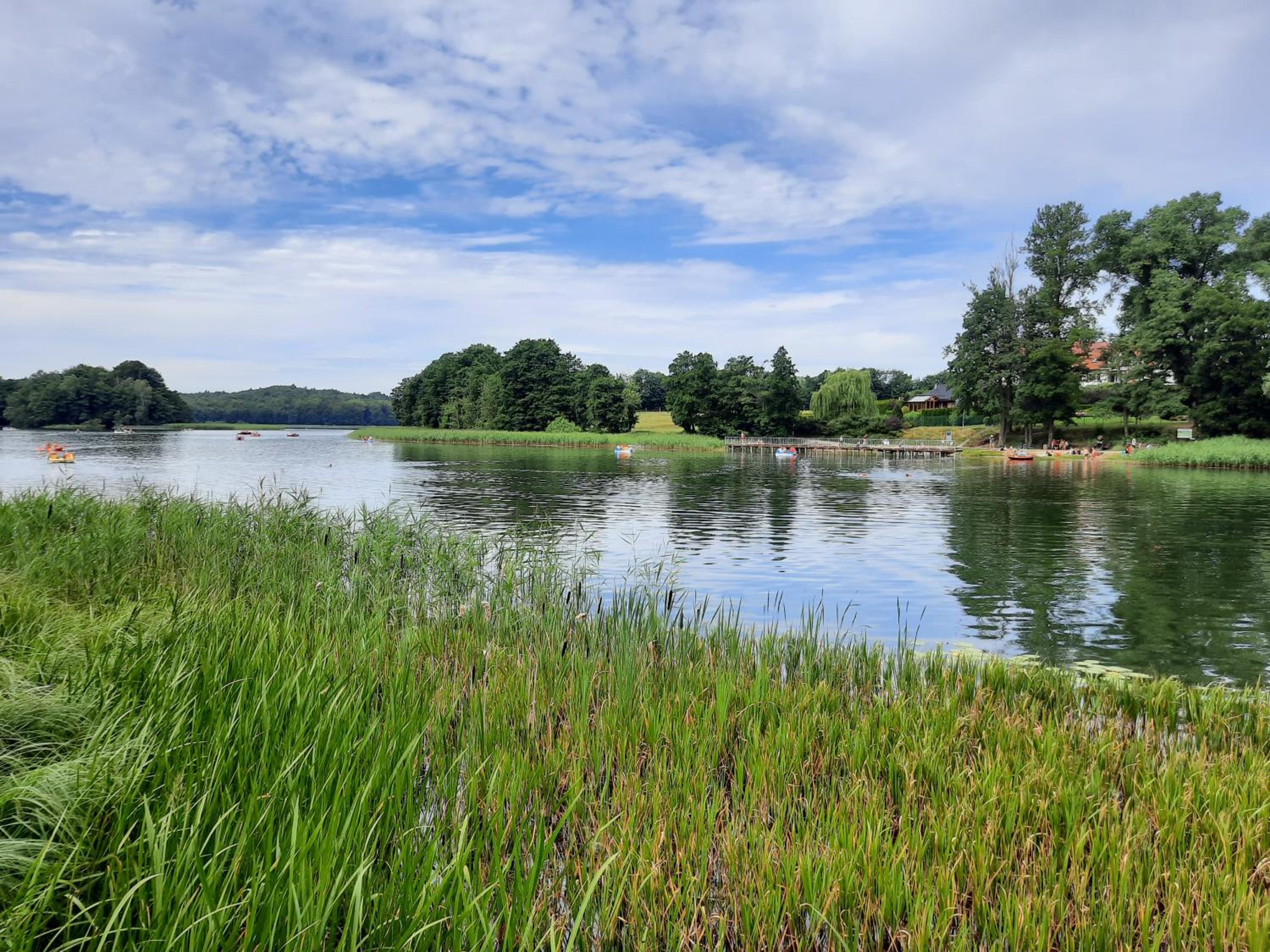 Photo 40