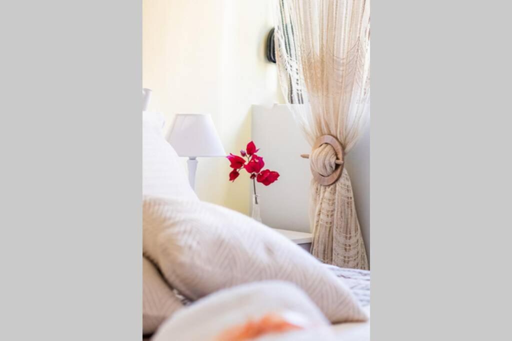 Meandros Apartment with Garden View photo 3