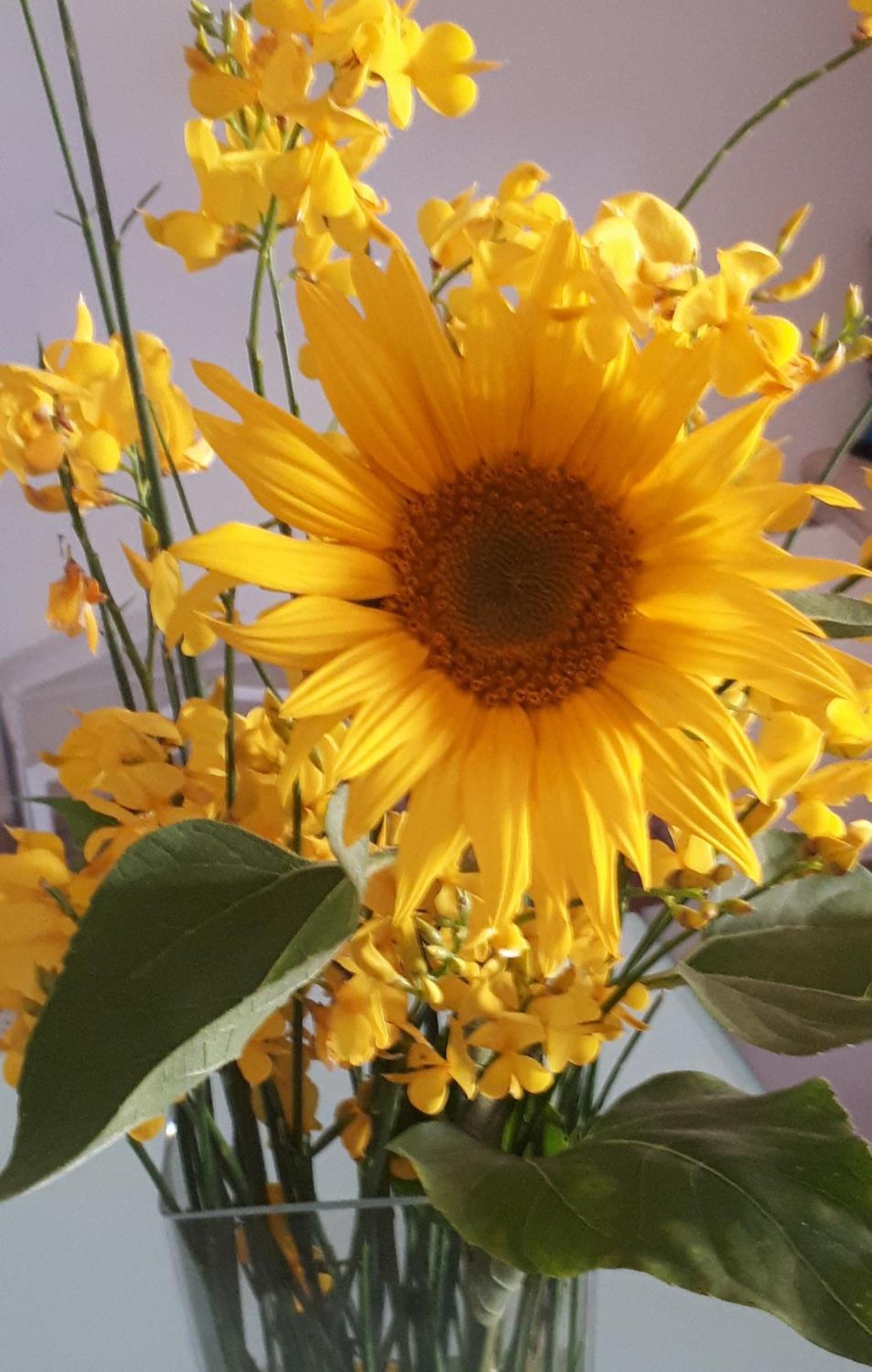 Il Girasole del Lago photo 3