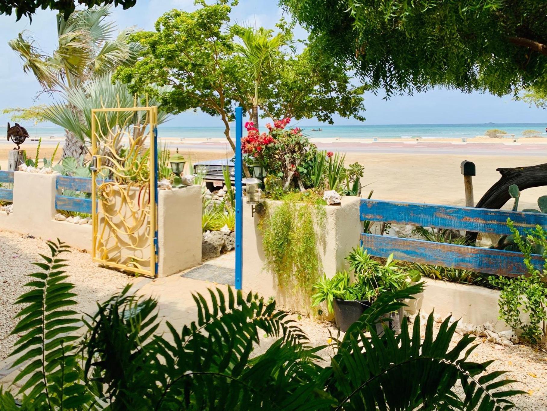 Aruba Sunset Beach Studios