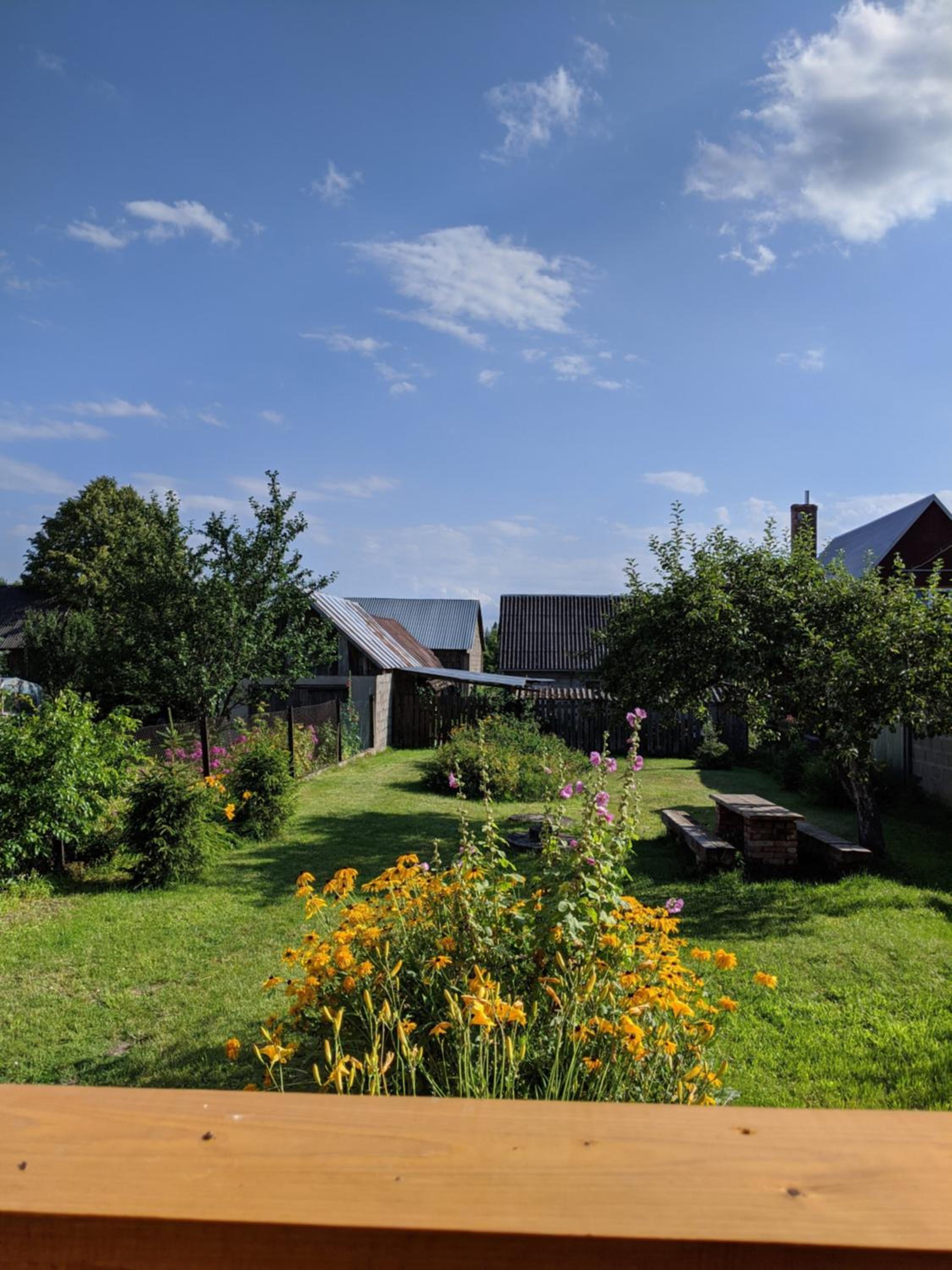 Photo 16