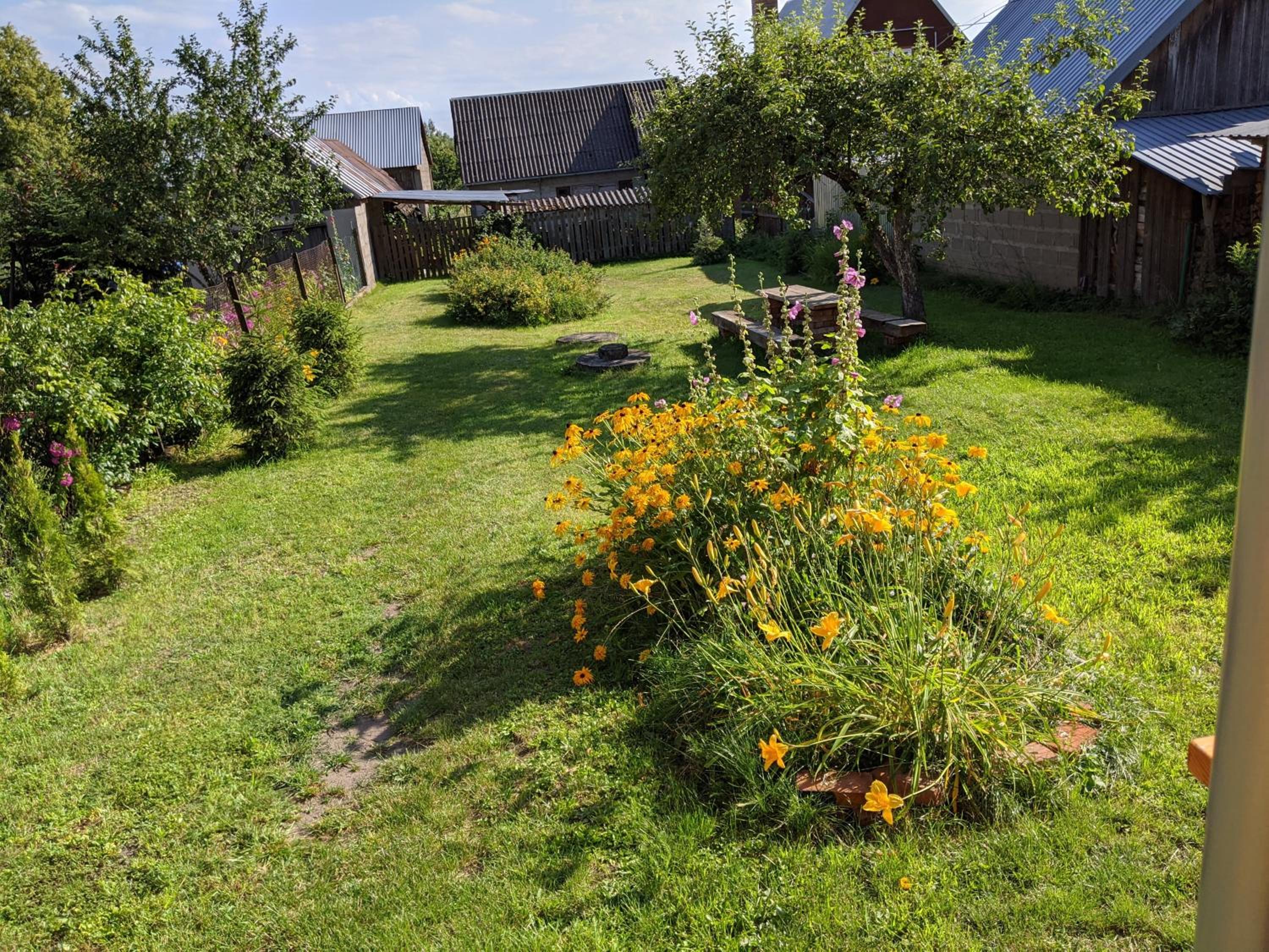 Photo 17
