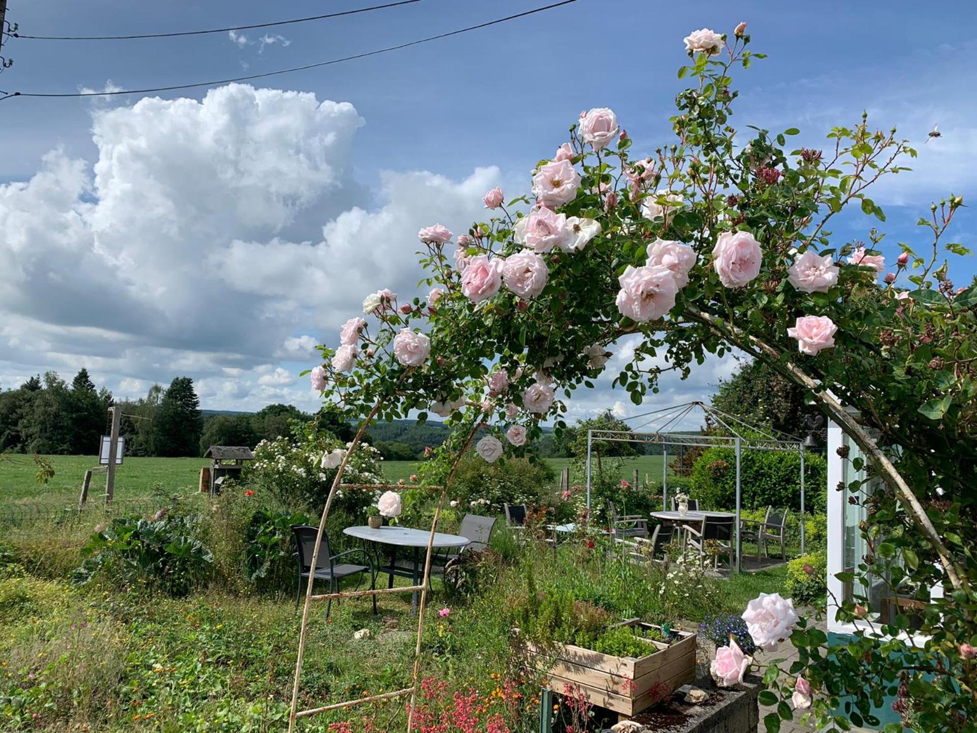 Ard'envie Bed&Breakfast