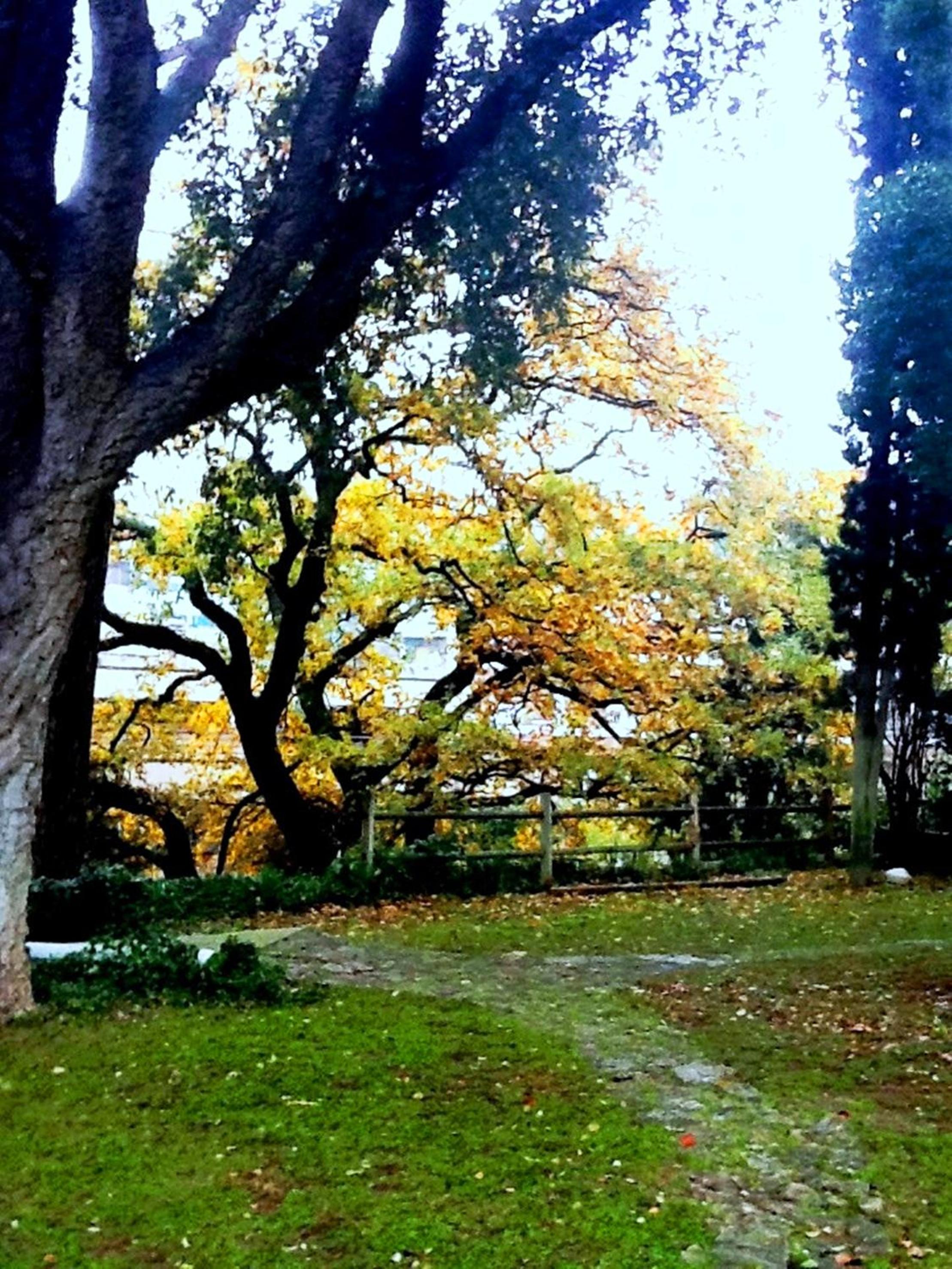 Relais La Canfora