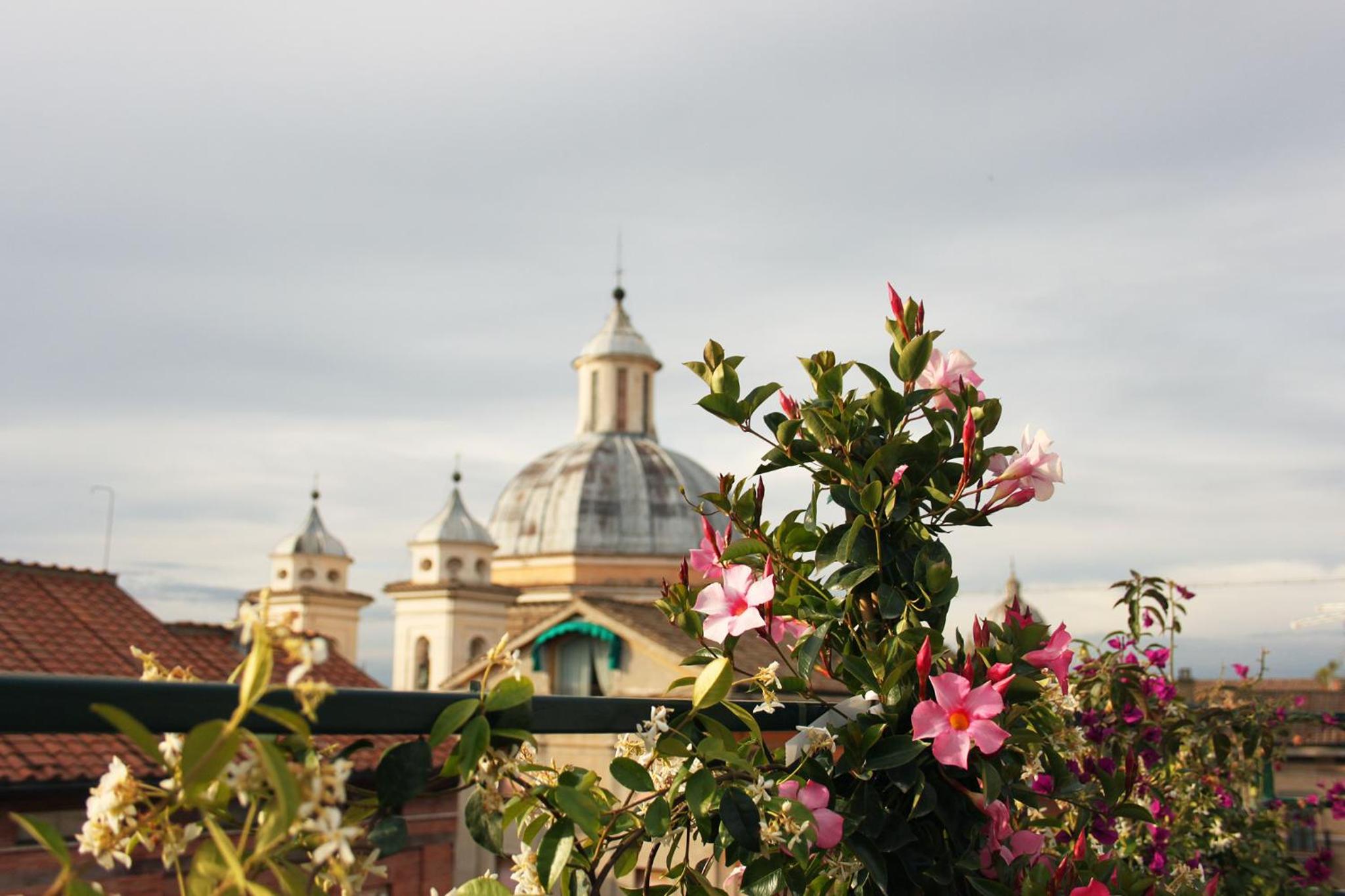 roof