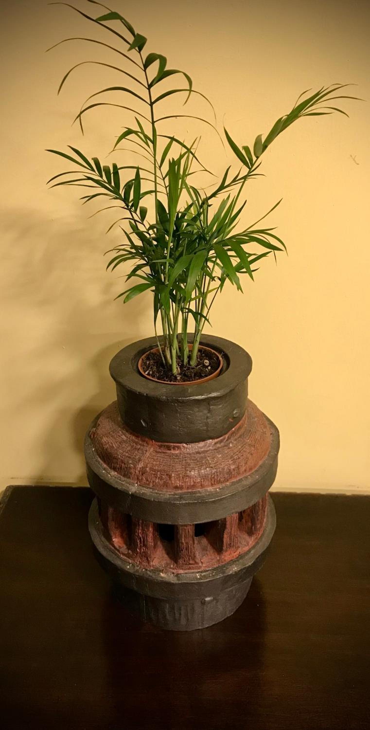 Photo 45