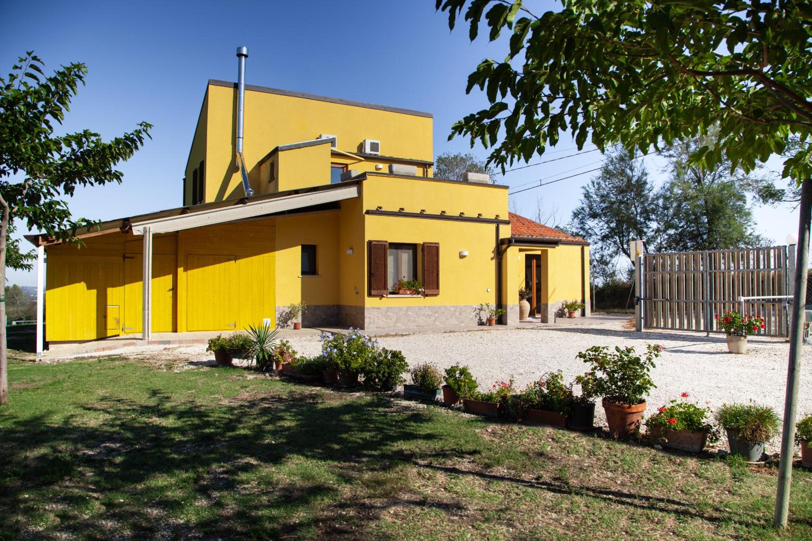 Photo 19