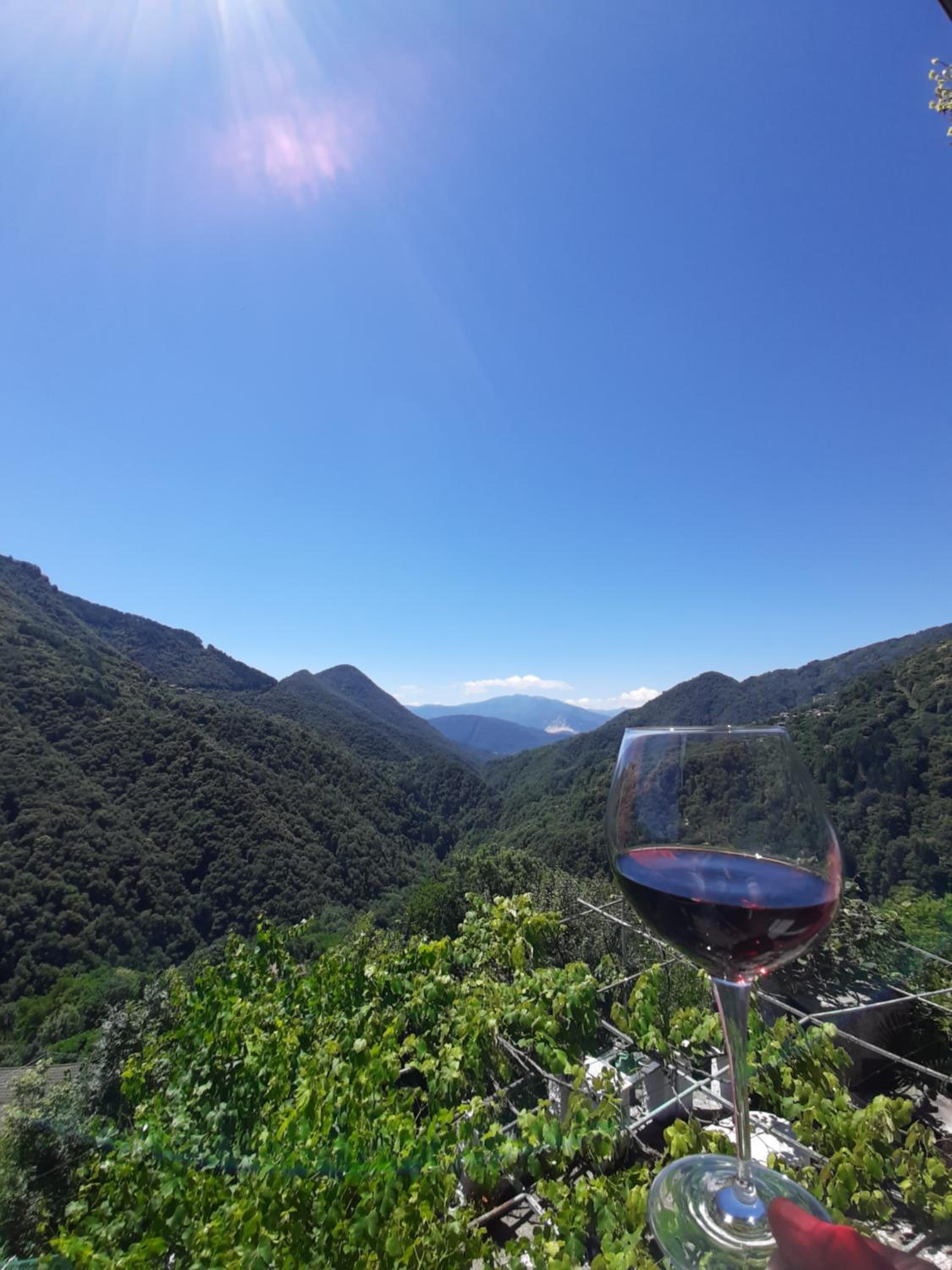 B&B La Locanda del Cinghiale