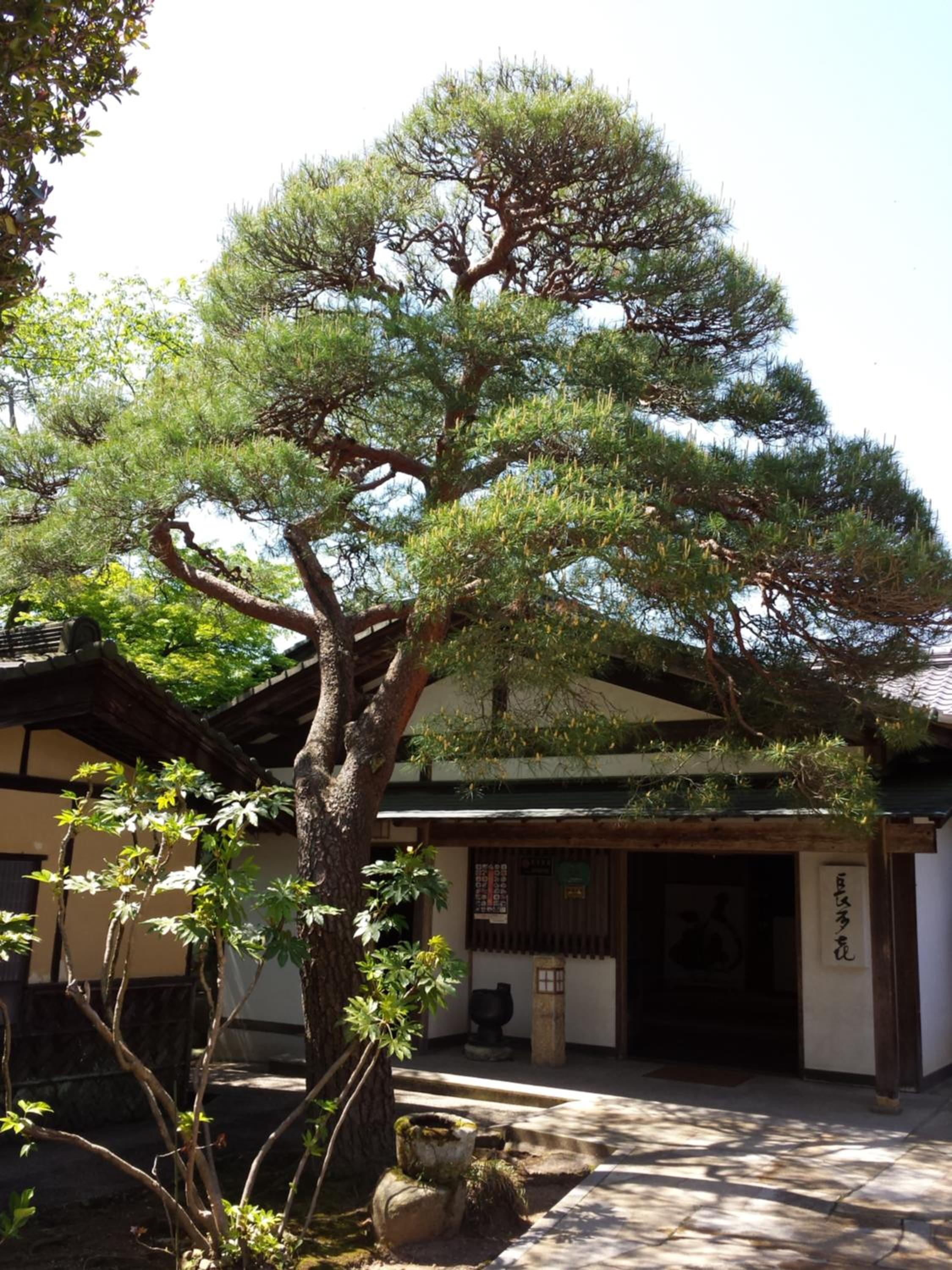 Nagataki