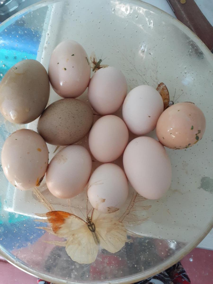 Palm Springs Vacations - Crashpod Hostel - Property Image 7