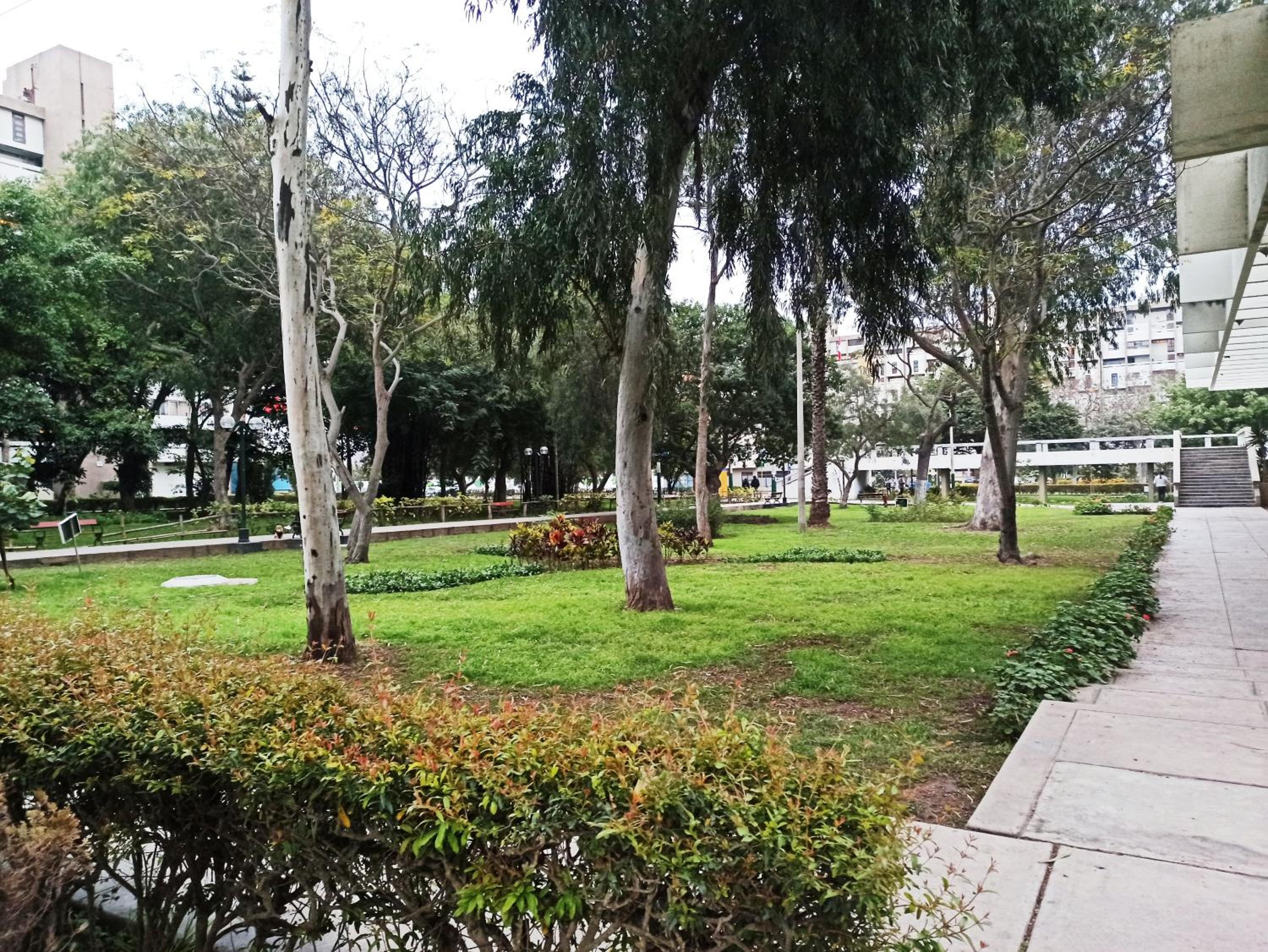 Photo 48