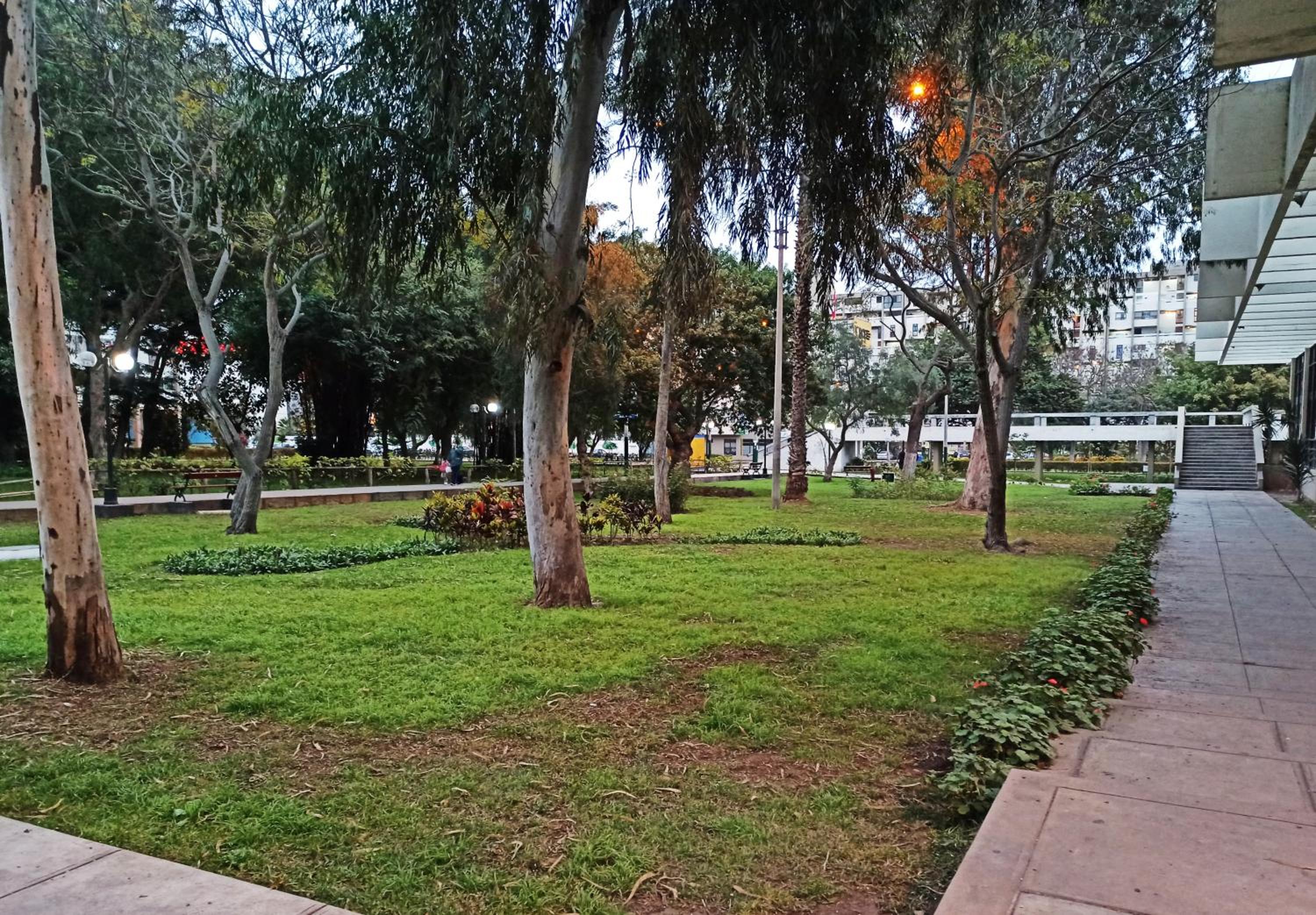 Photo 47