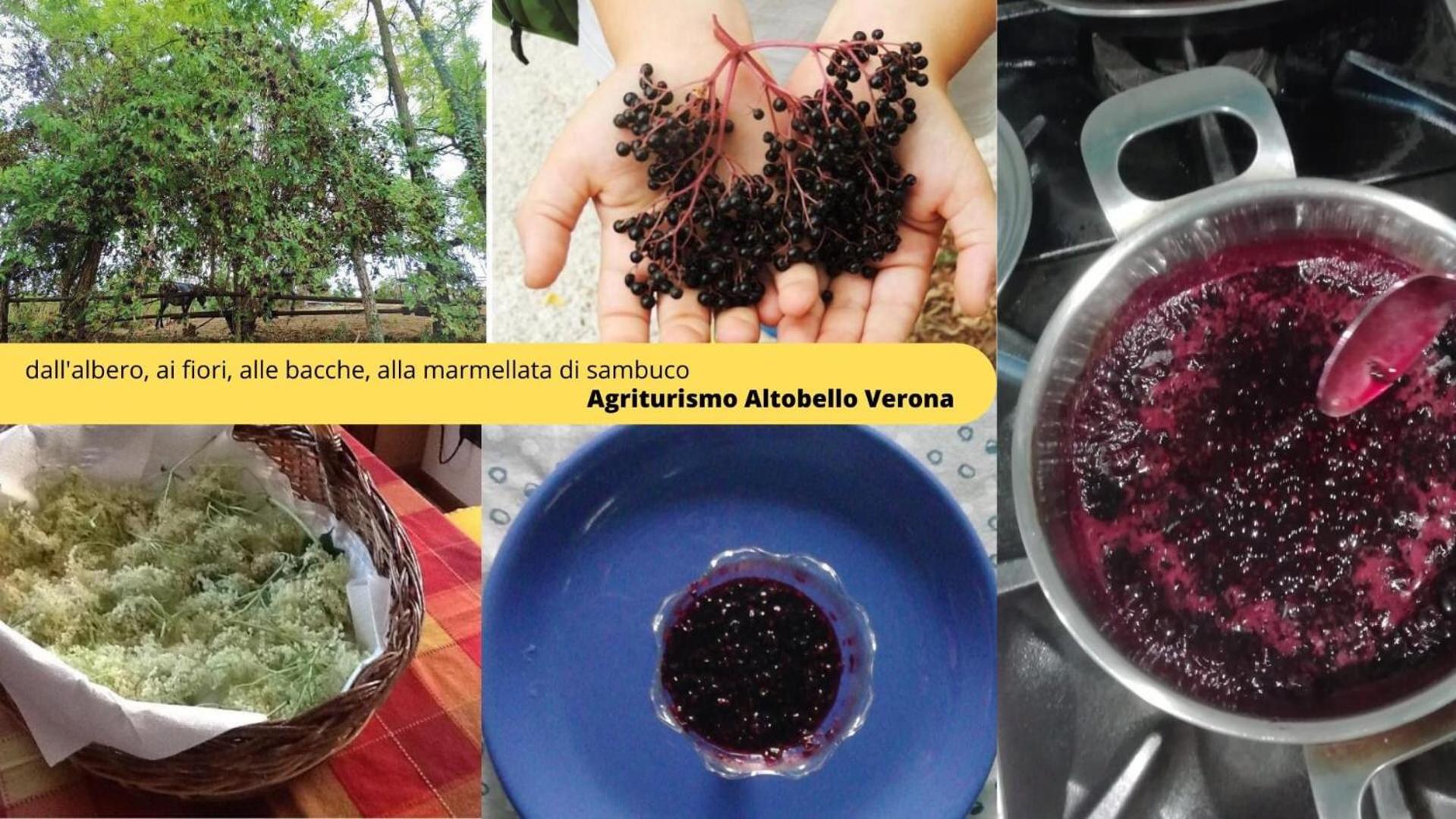 Agriturismo Altobello