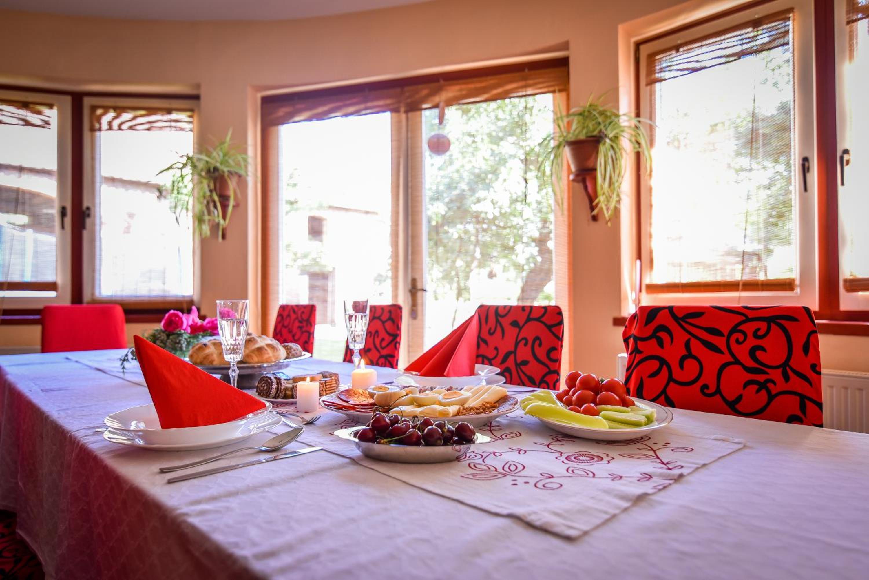 Villa Holiday Home Kuća za odmor Slavonka view 3