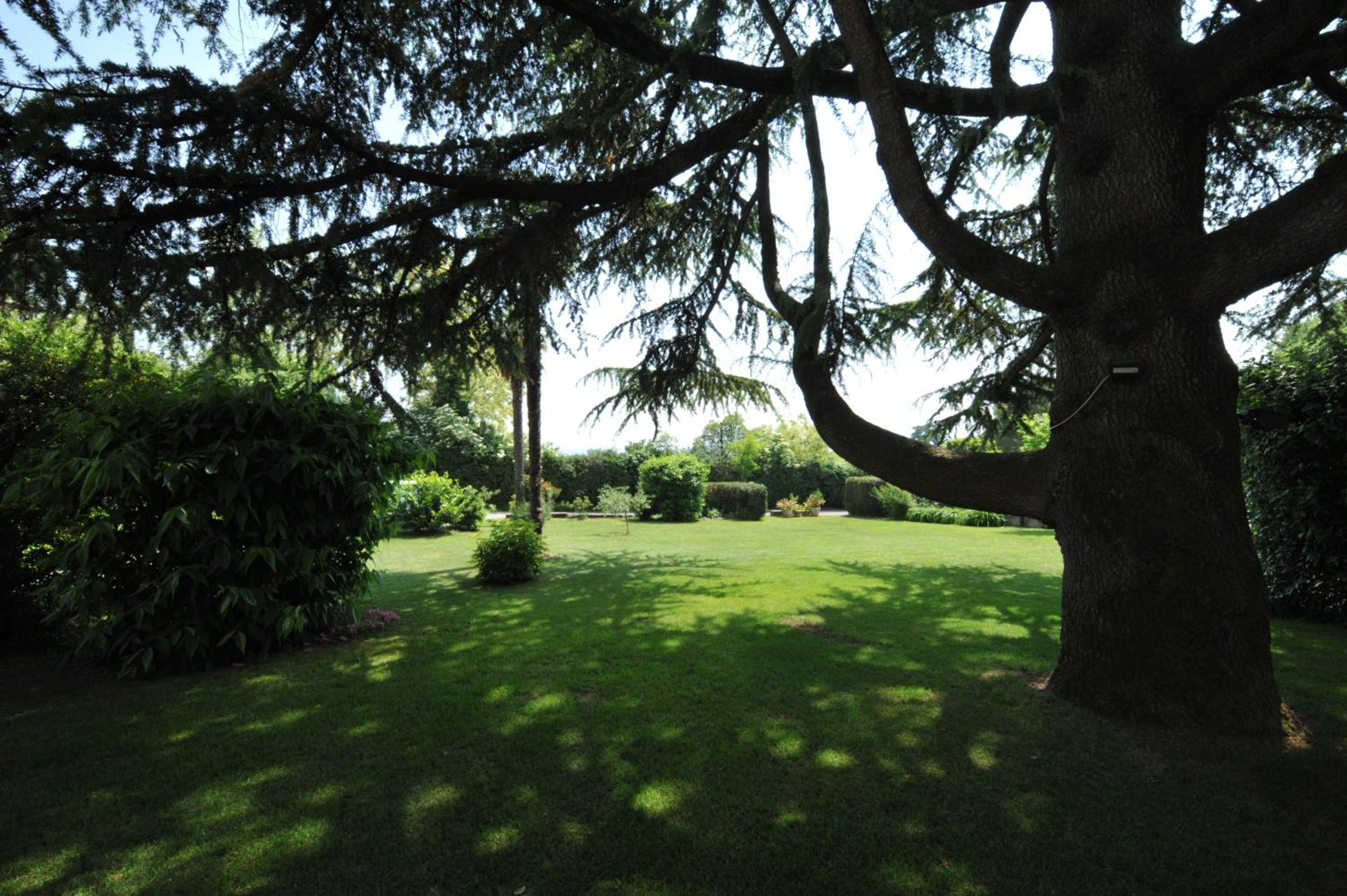 La Corte dei Limoni view 5