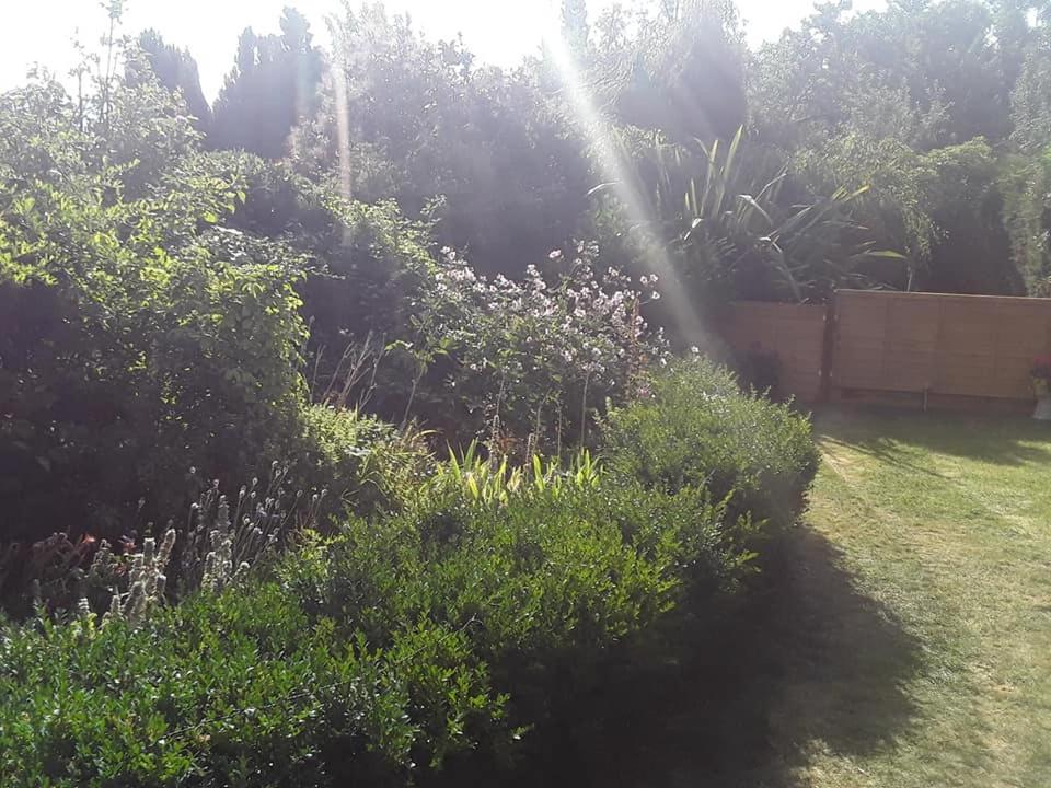 Photo 14