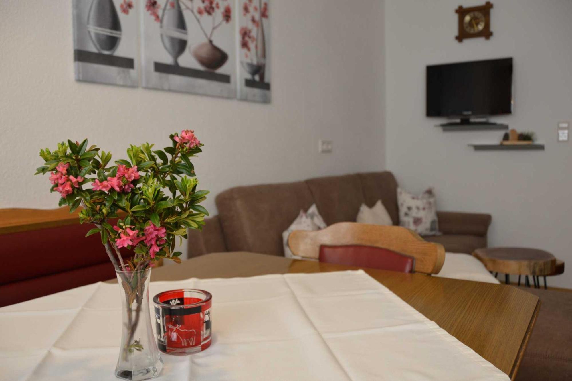 Ferienwohnung Plattner inklusive Sommercard view 4