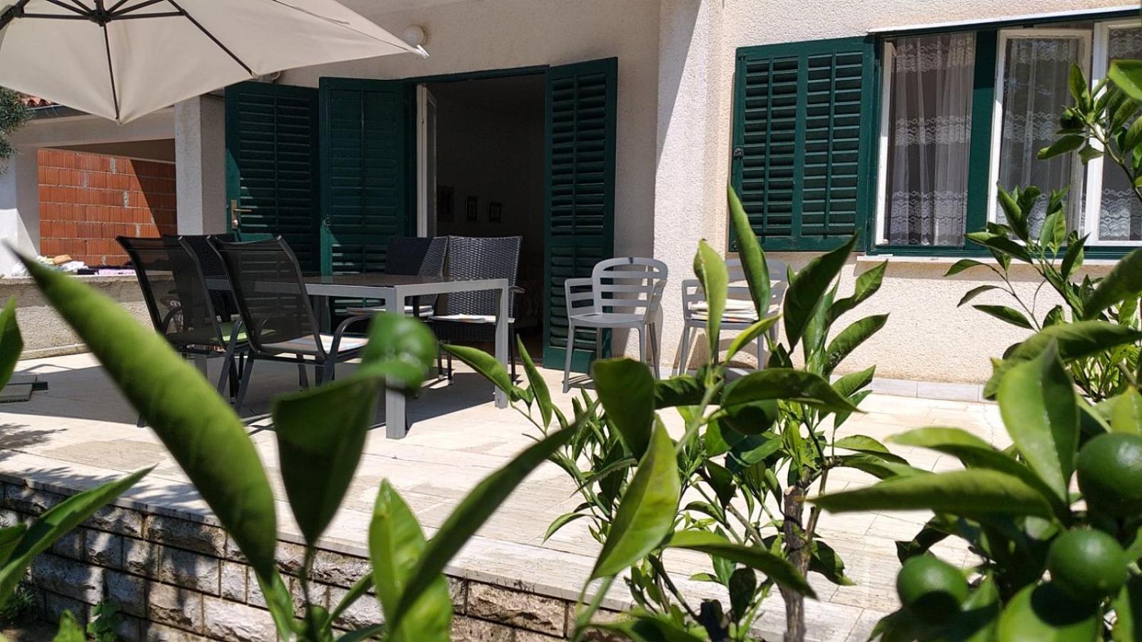 House Romana