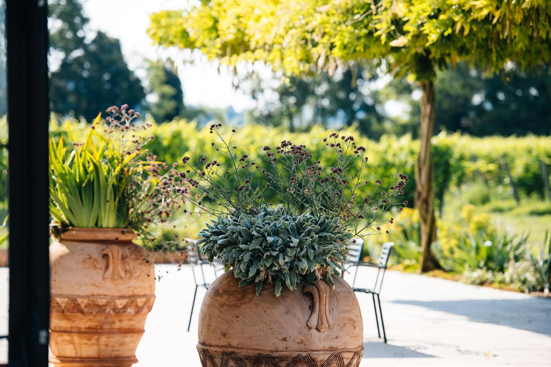 Dimora Buglioni Wine Relais, photo 56