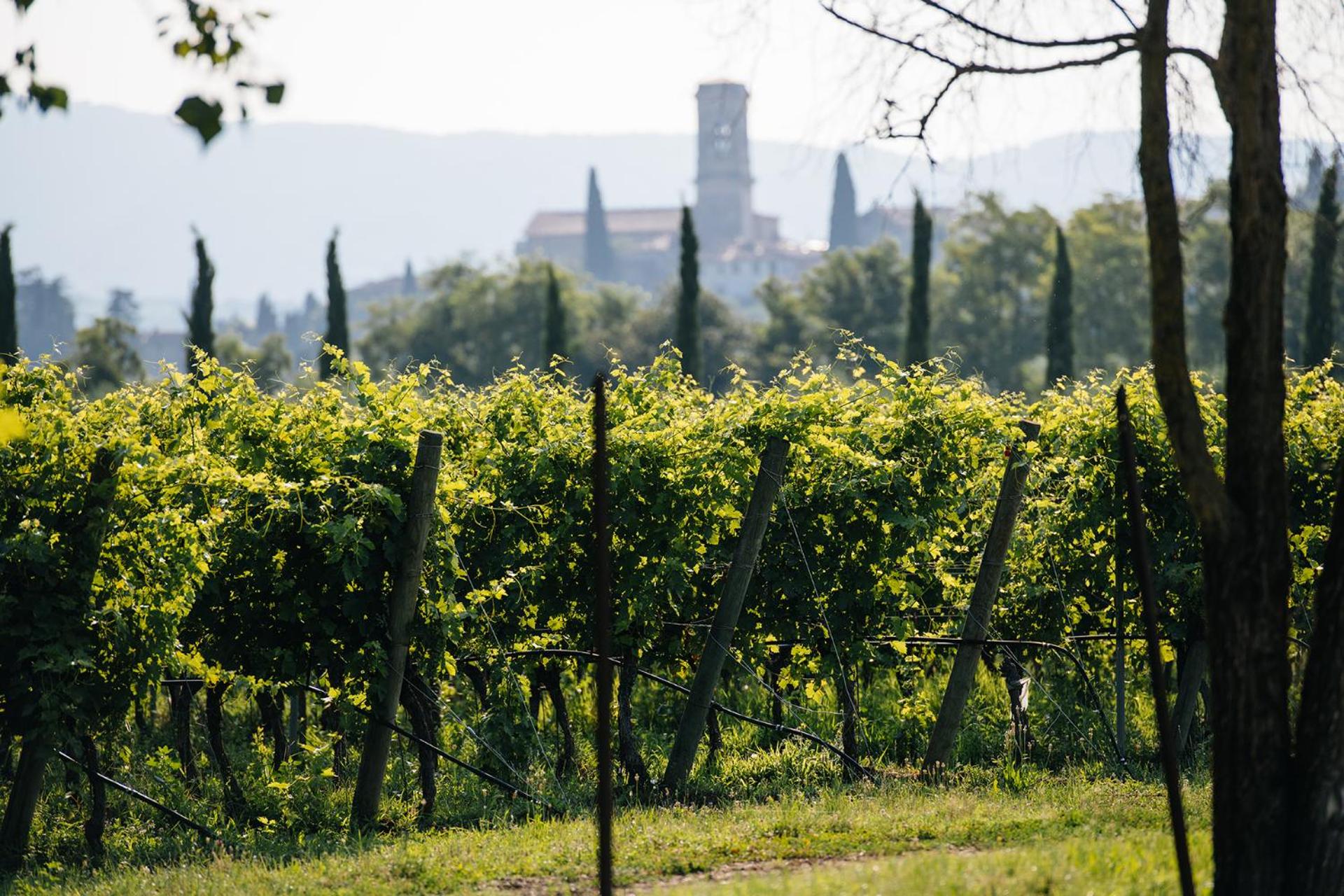 Dimora Buglioni Wine Relais, photo 99
