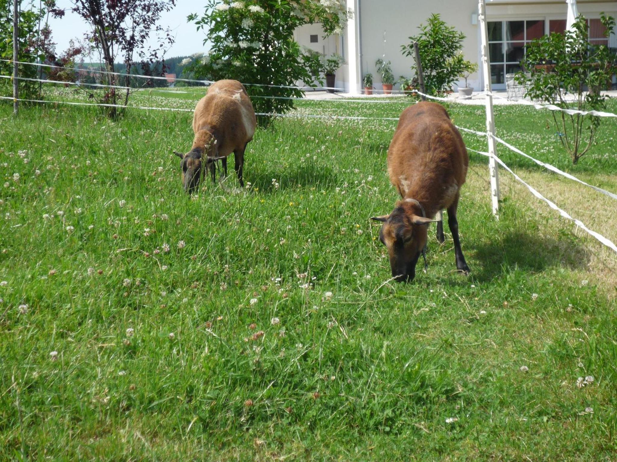 Photo 28