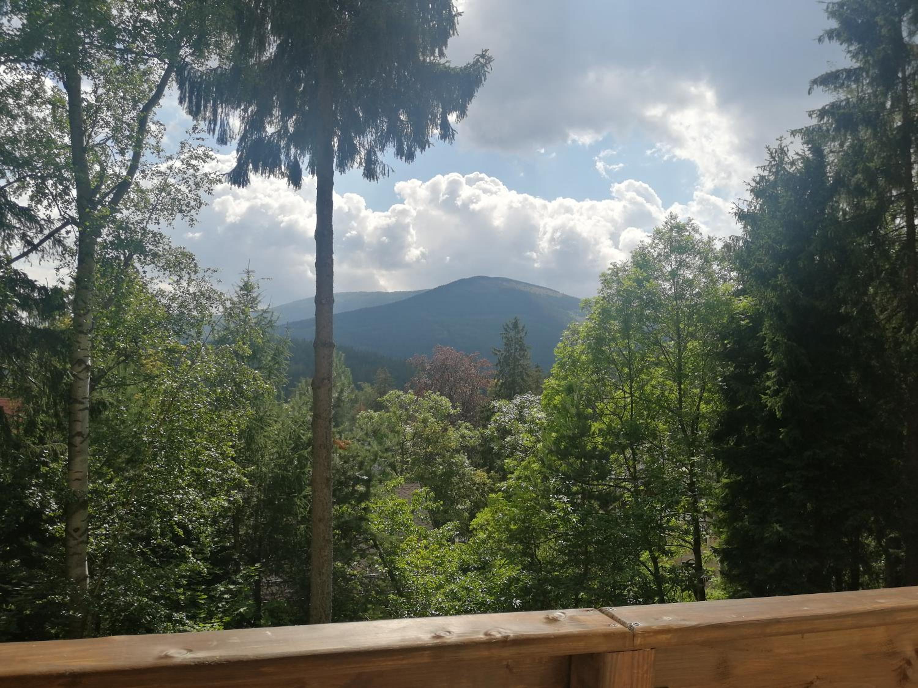 Sela view 2