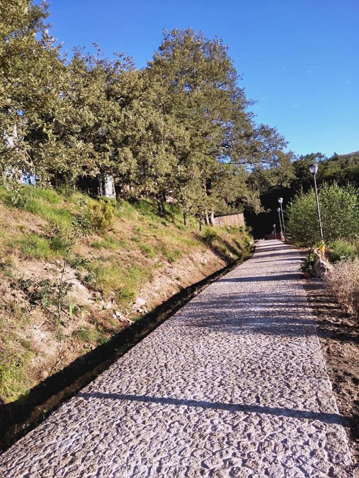 Ninho da Avó Selvagem view 3