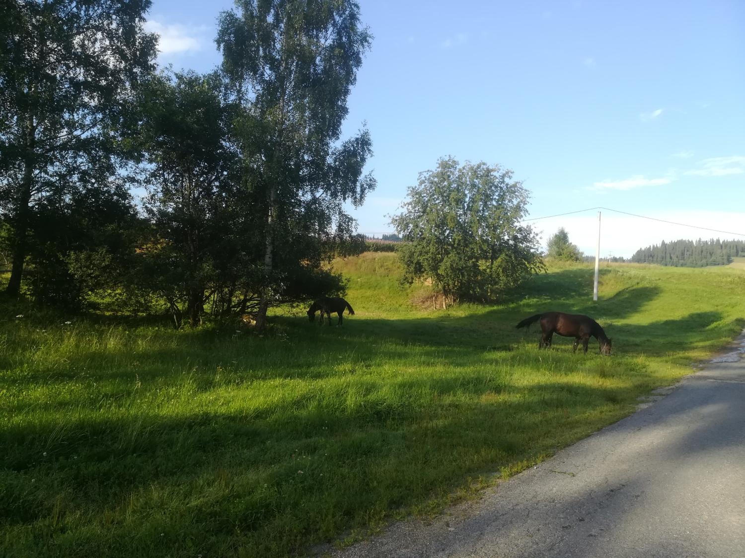 Photo 47