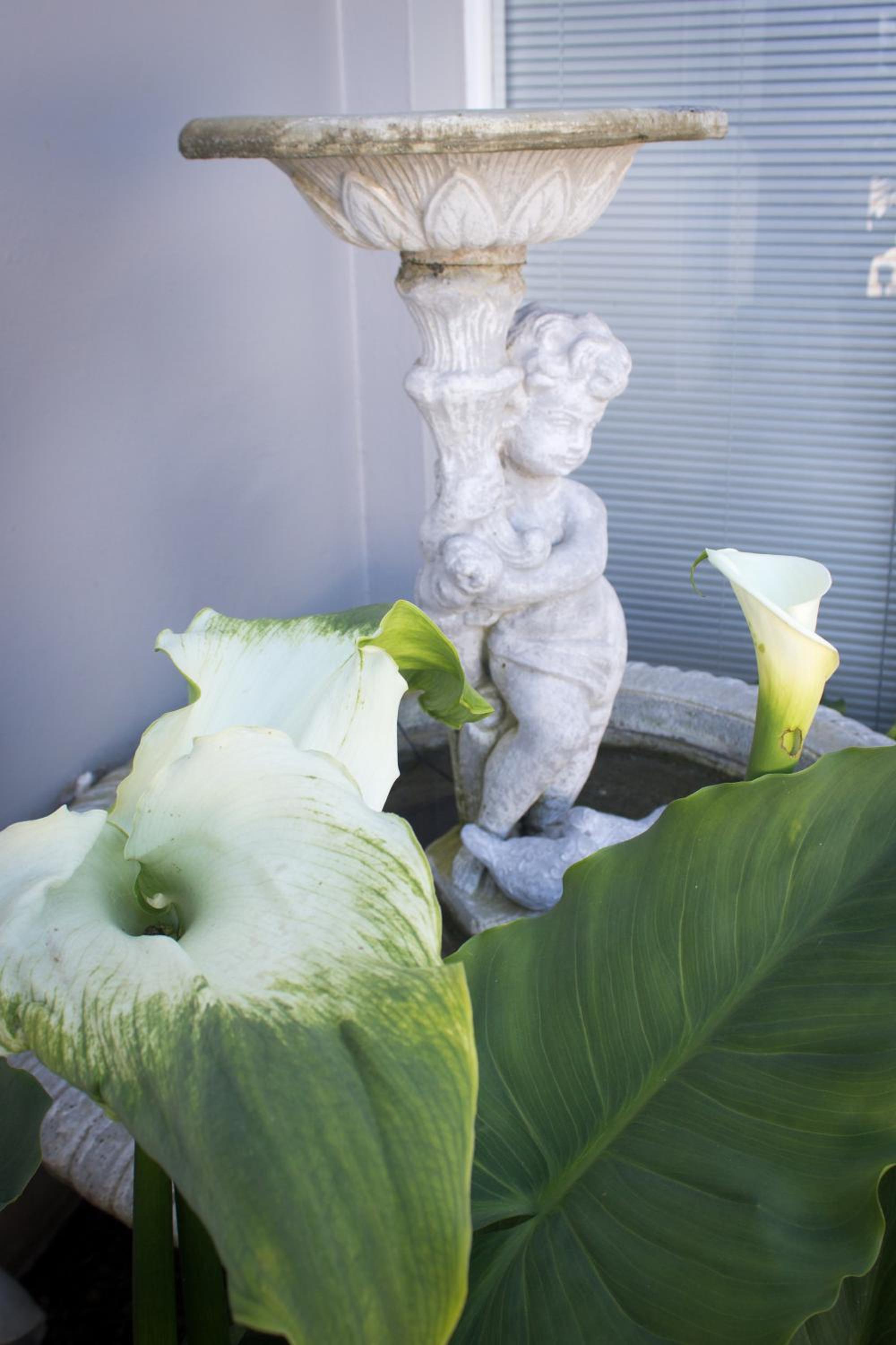 Photo 45