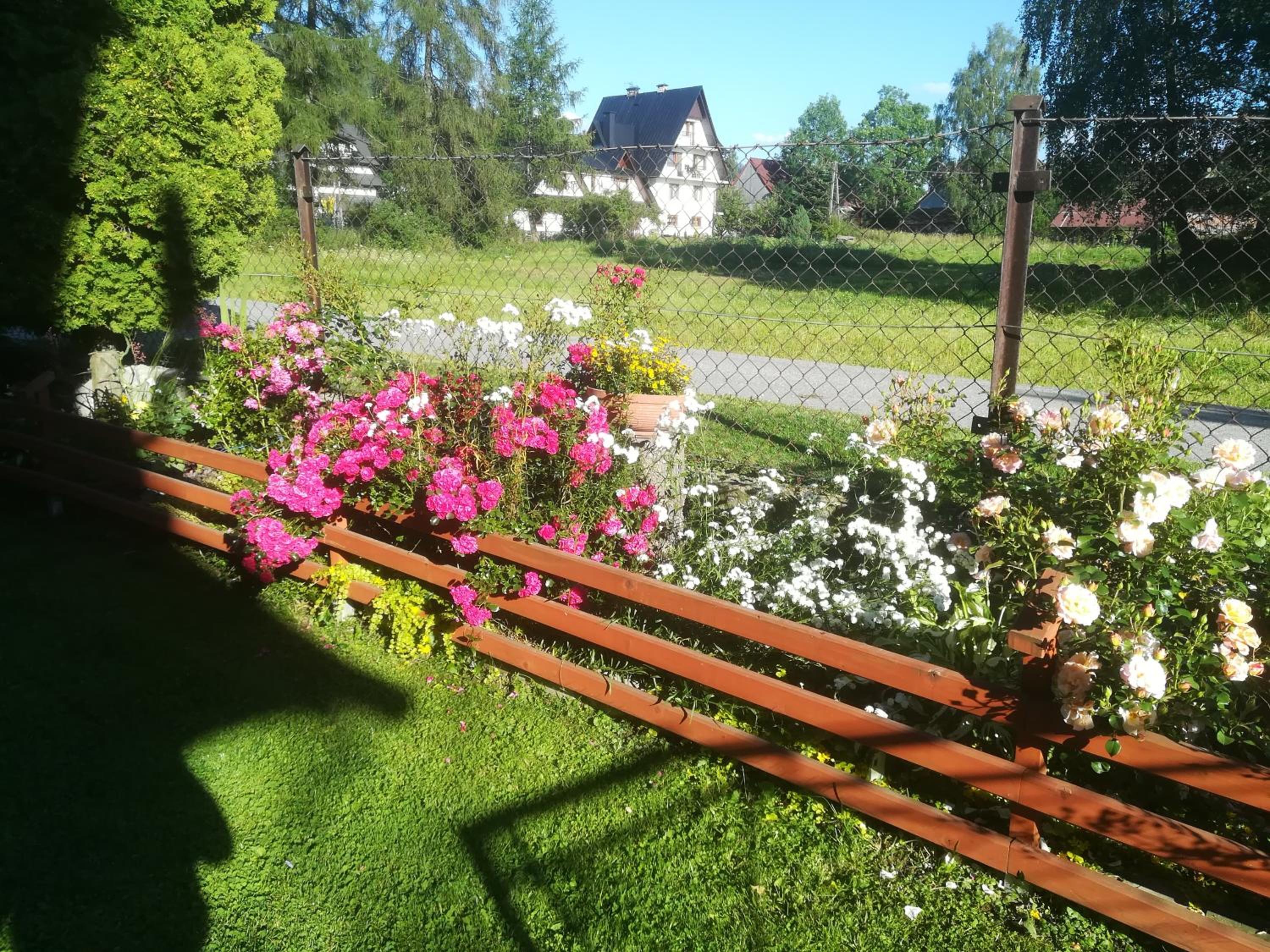 Photo 39